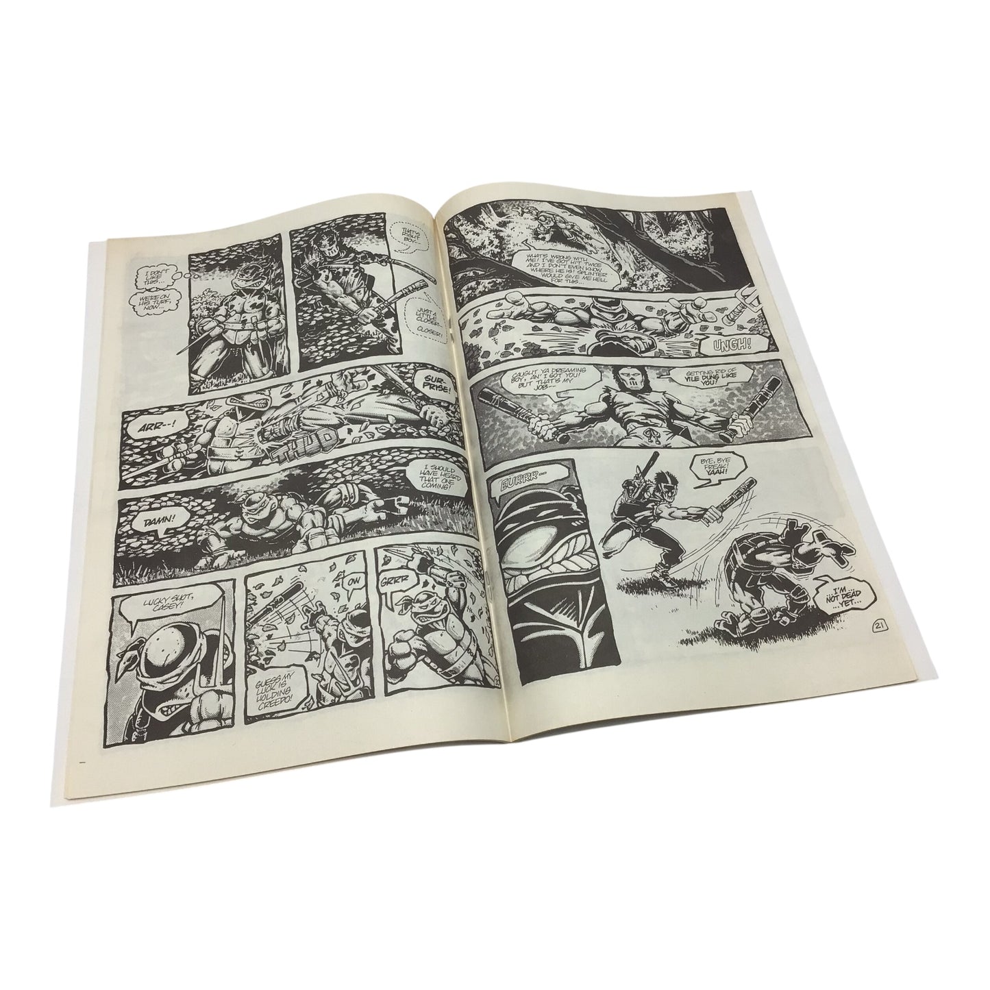Teenage Mutant Ninja Turtles: Raphael #1 Mirage Studios Comic – Near Mint
