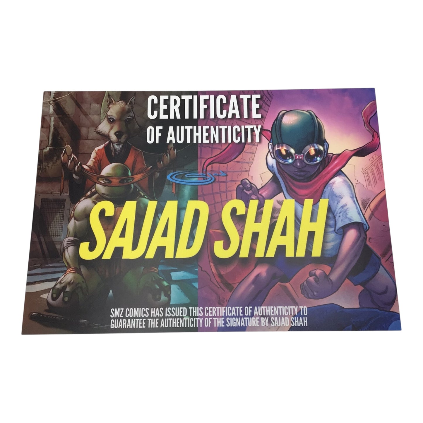 Teenage Mutant Ninja Turtles Holographic Art Print Signed by Sajad Shah – COA
