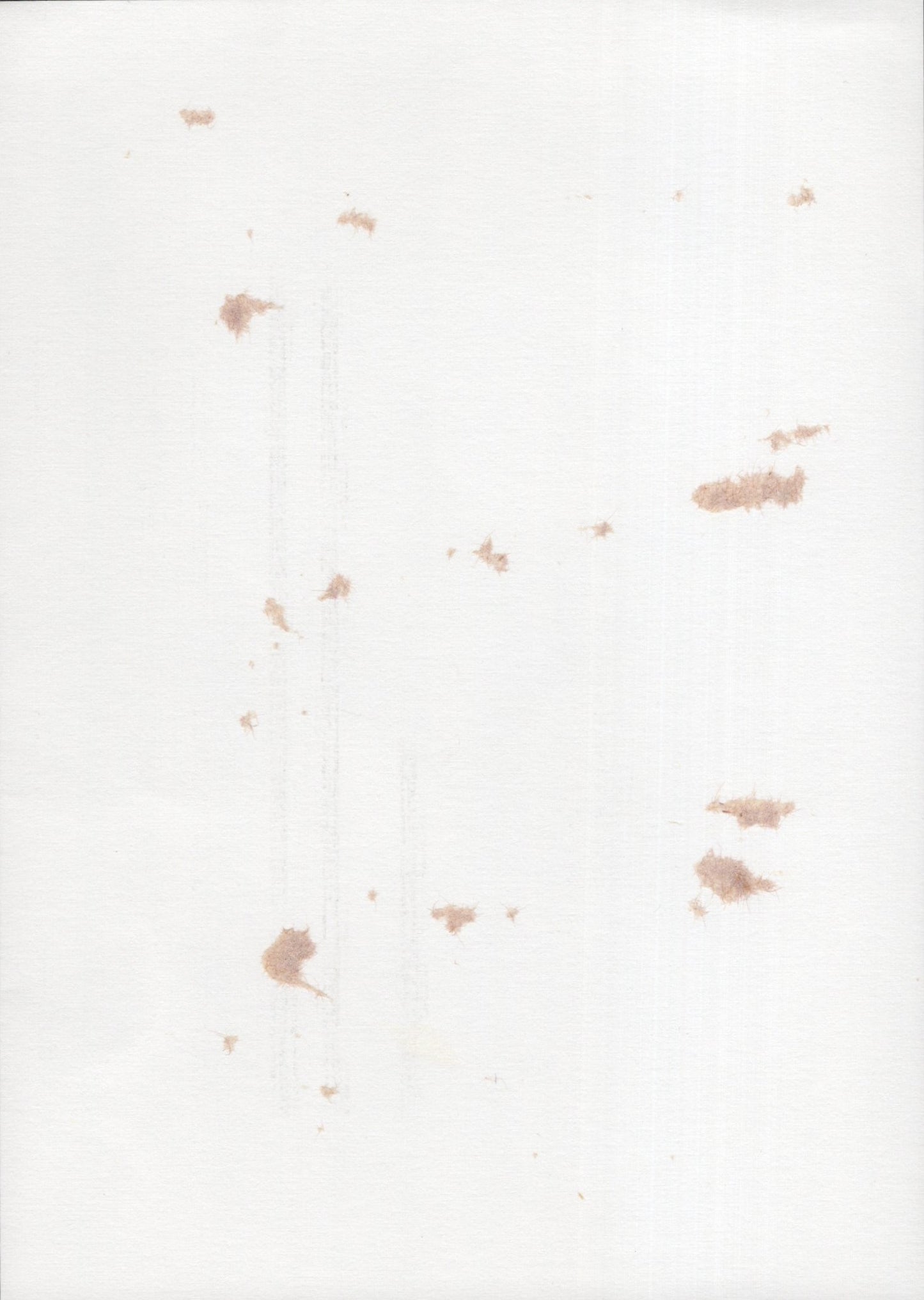 Arsenio Hall Signed Photo 5x7 B&W, Arsenio Hall Autograph