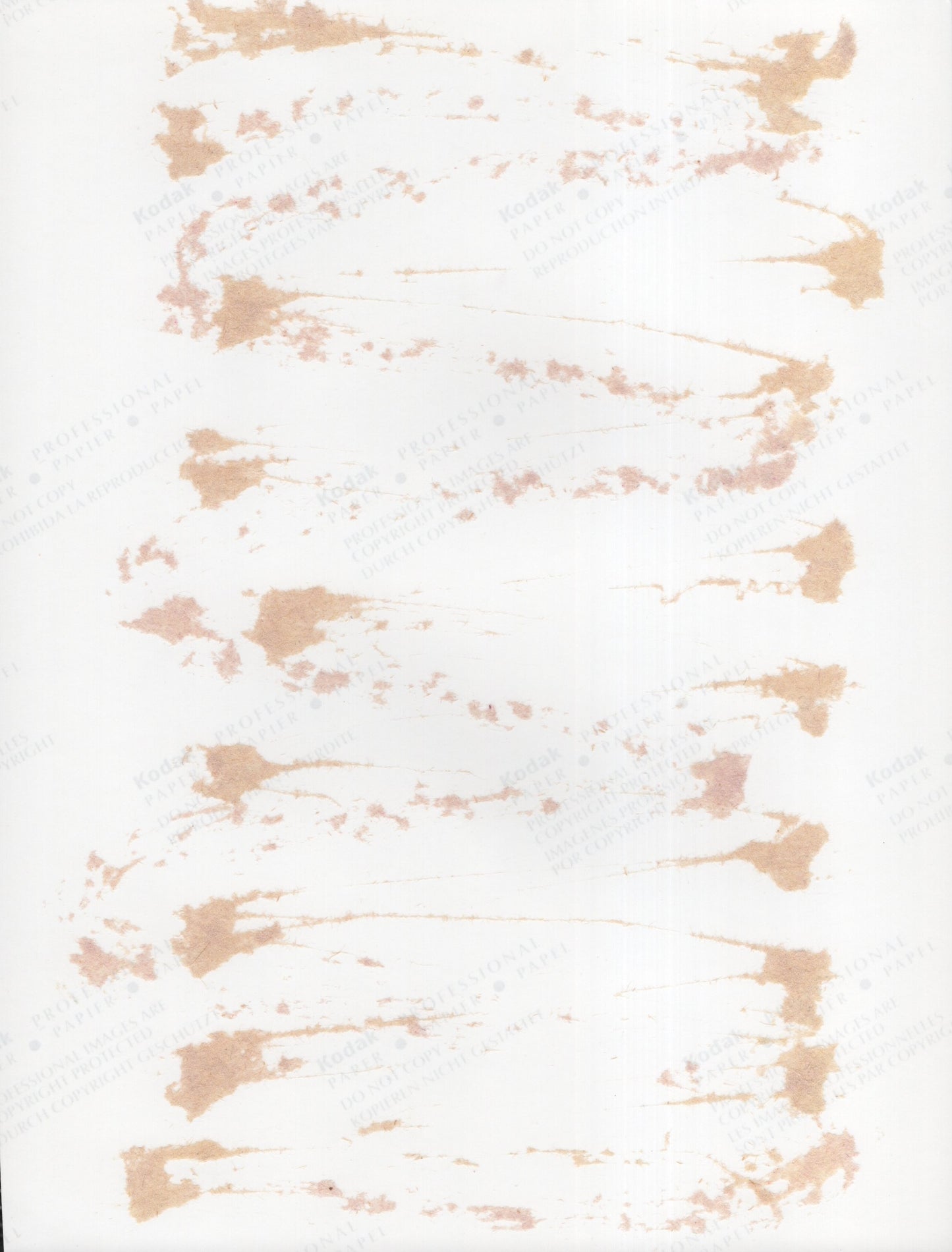 Bob Dole Signed Photo 8x10, Bob Dole Autograph, Bust Shot