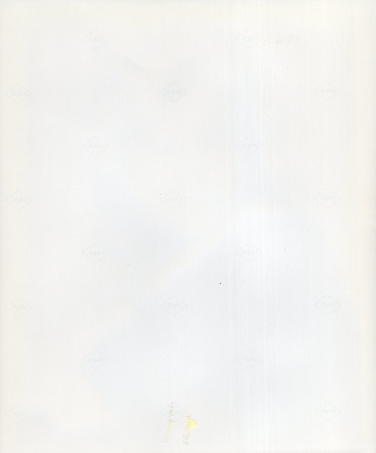 Candice Bergen Signed Photo 8x10 B&W, Candice Bergen Autograph from Murphy Brown