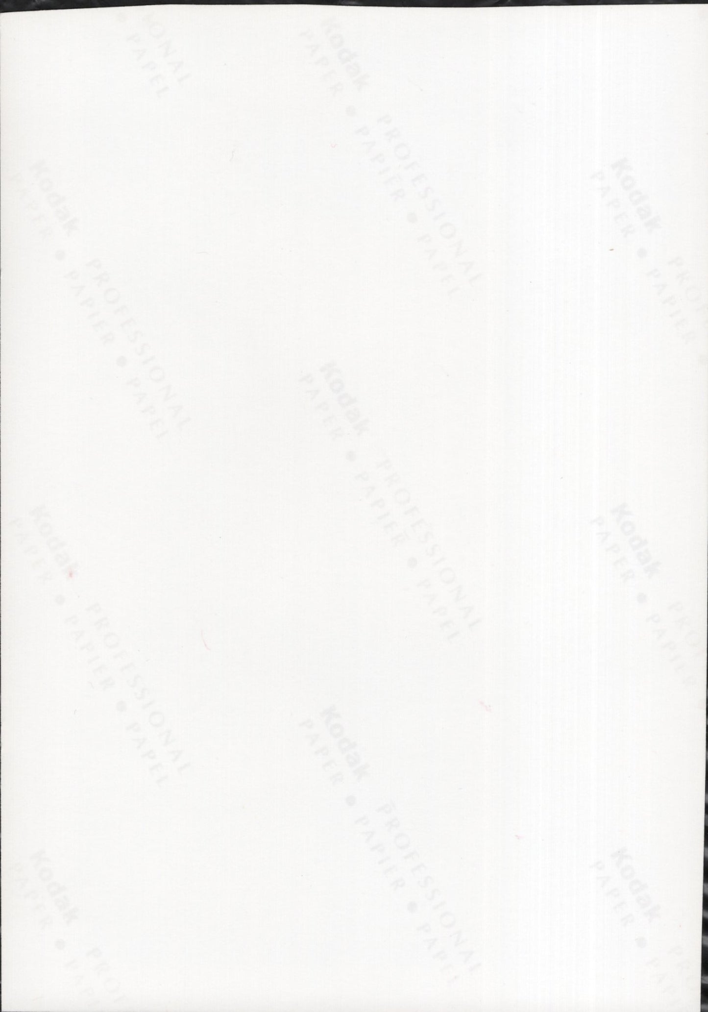 Charlton Heston Signed Photo 5x7, Charlton Heston Autograph, Head Shot