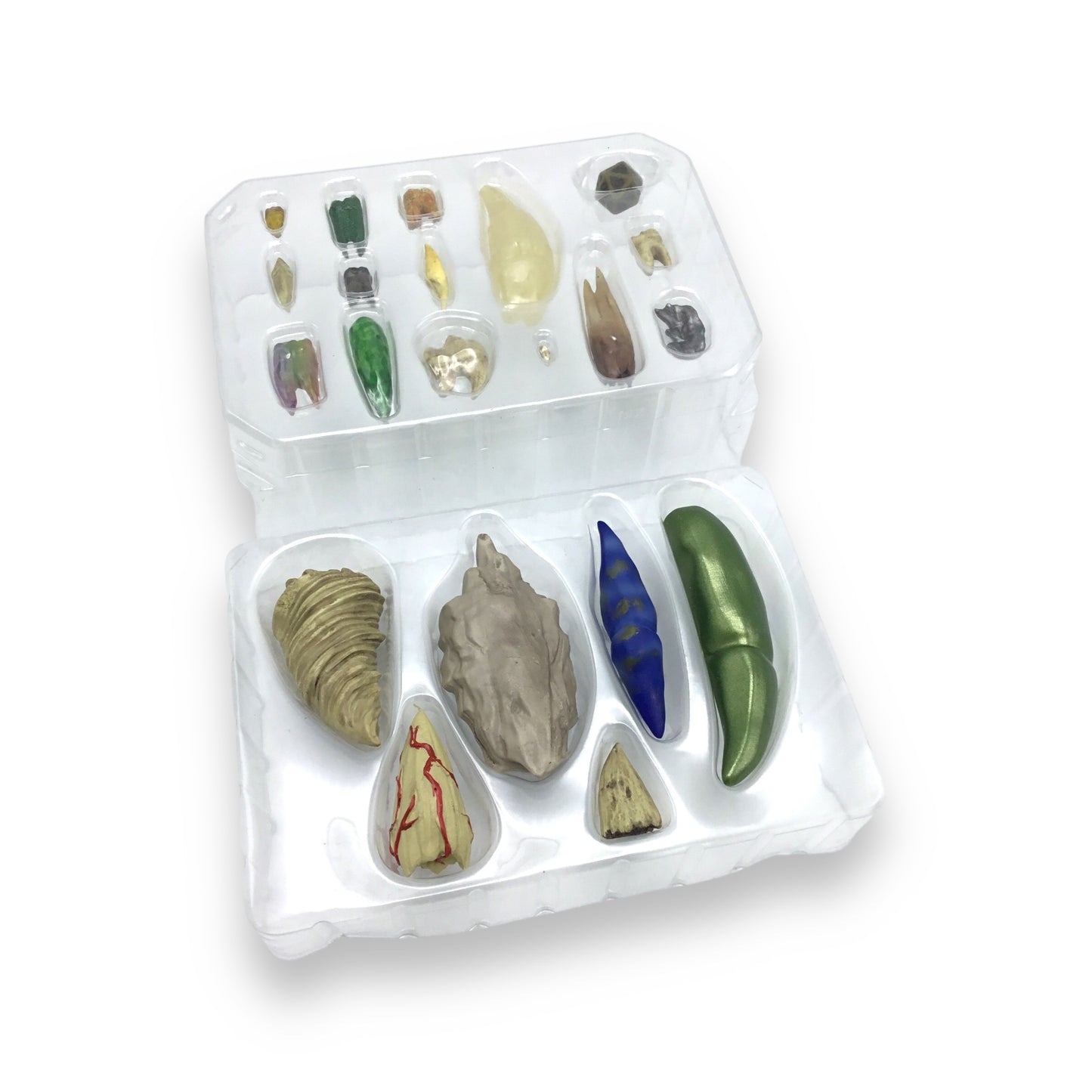 Dungeons & Dragons Teeth of Dahlver-Nar – Bite-Sized Artifact Life-Sized Fantasy Teeth Replicas