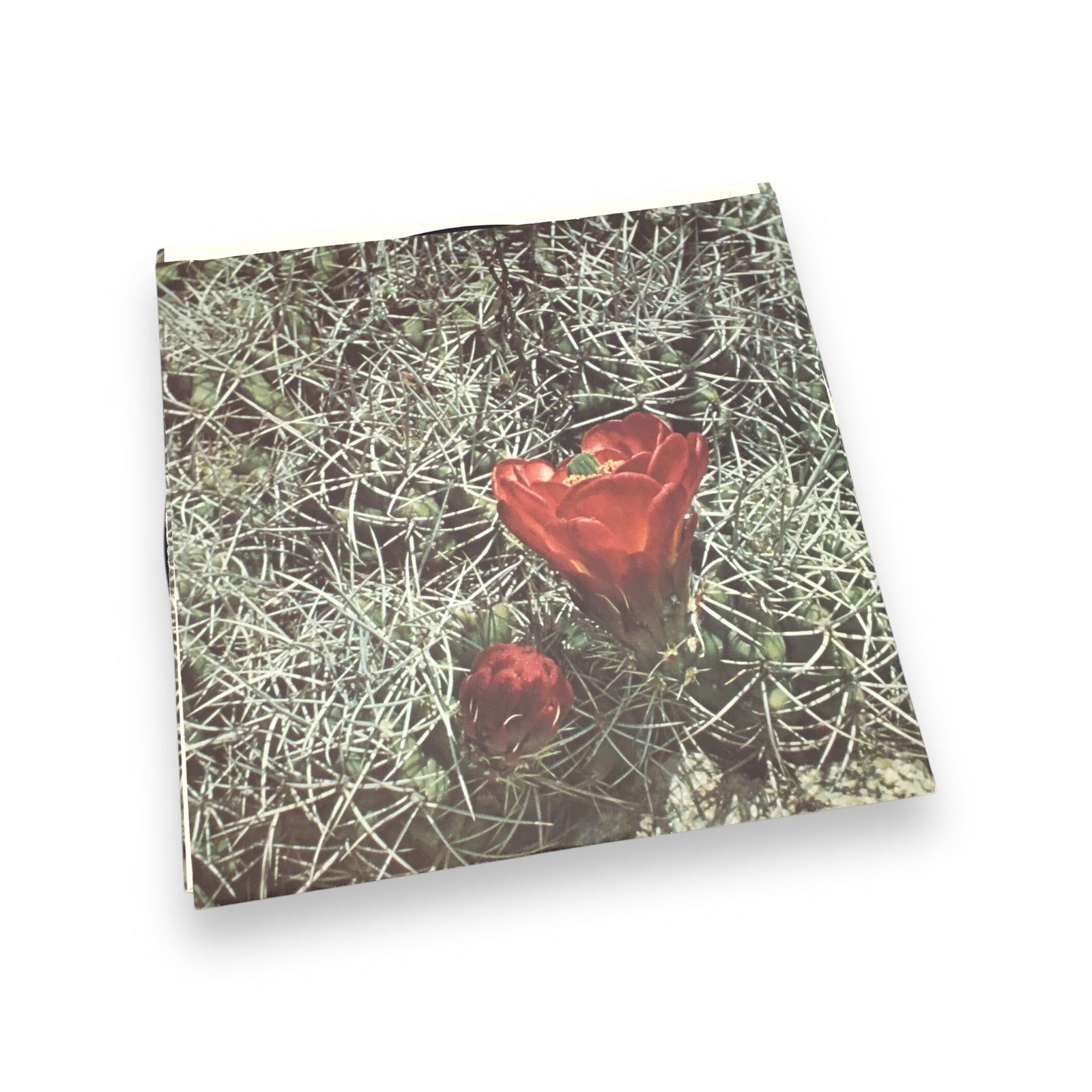 Eagles (Self-Titled) | Preowned Classic LP