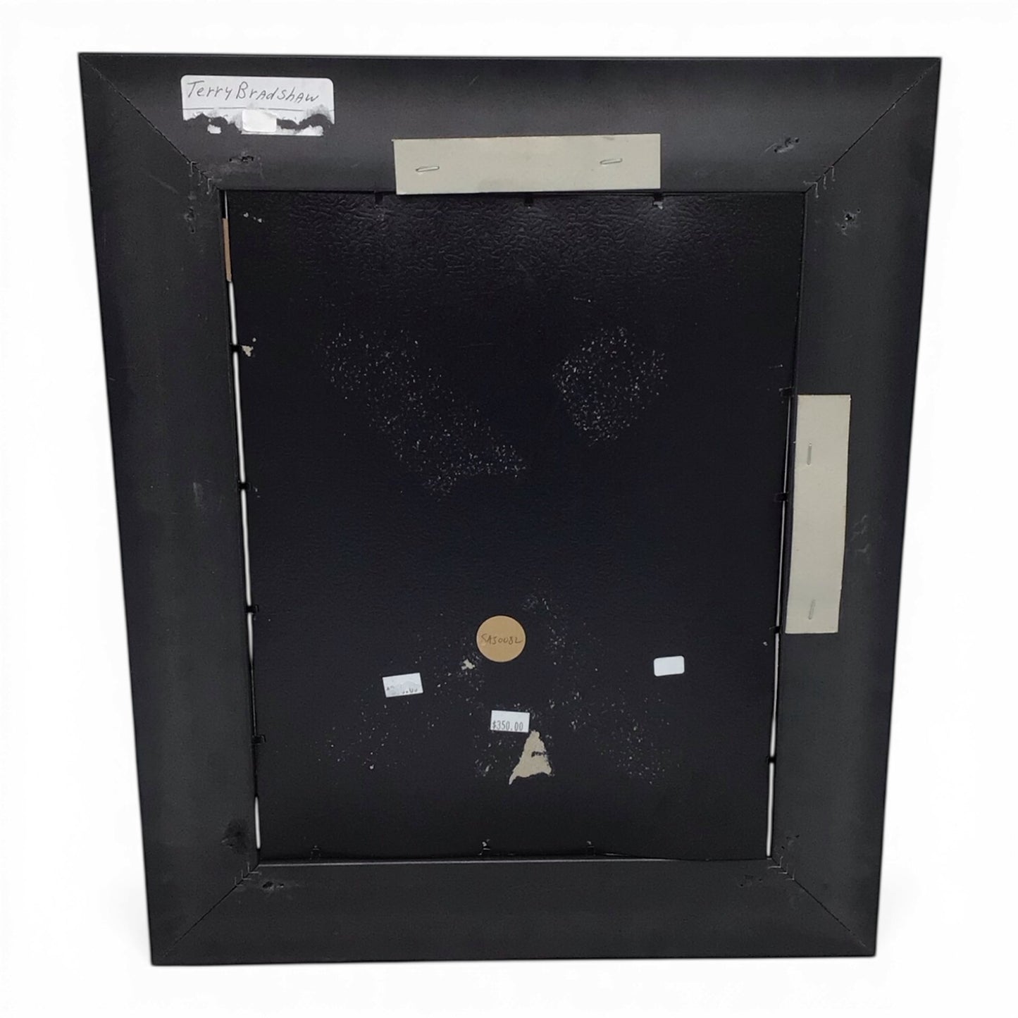 Framed Terry Bradshaw Signed Photo