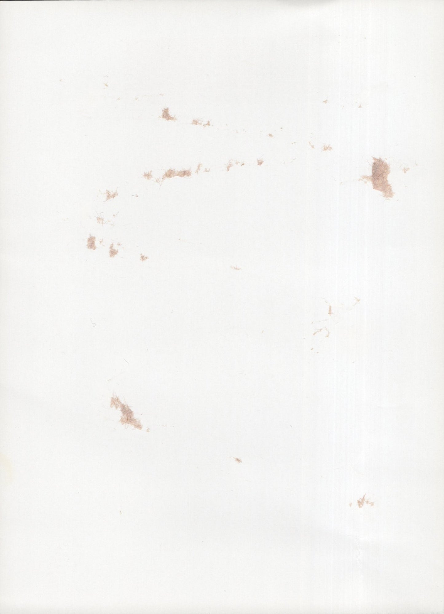 Fannie Flagg Signed Photo 5.5x7.5 Personalized "To Debora", Fannie Flagg Autograph, Author of Fried Green Tomatoes at The Whistle Stop Cafe