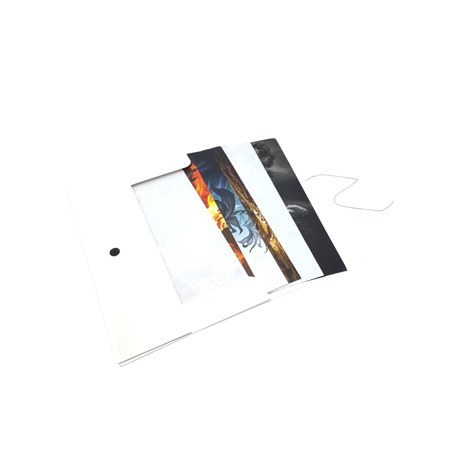 Guild Wars 2 Collector's Edition with Rytlock Statue in Box