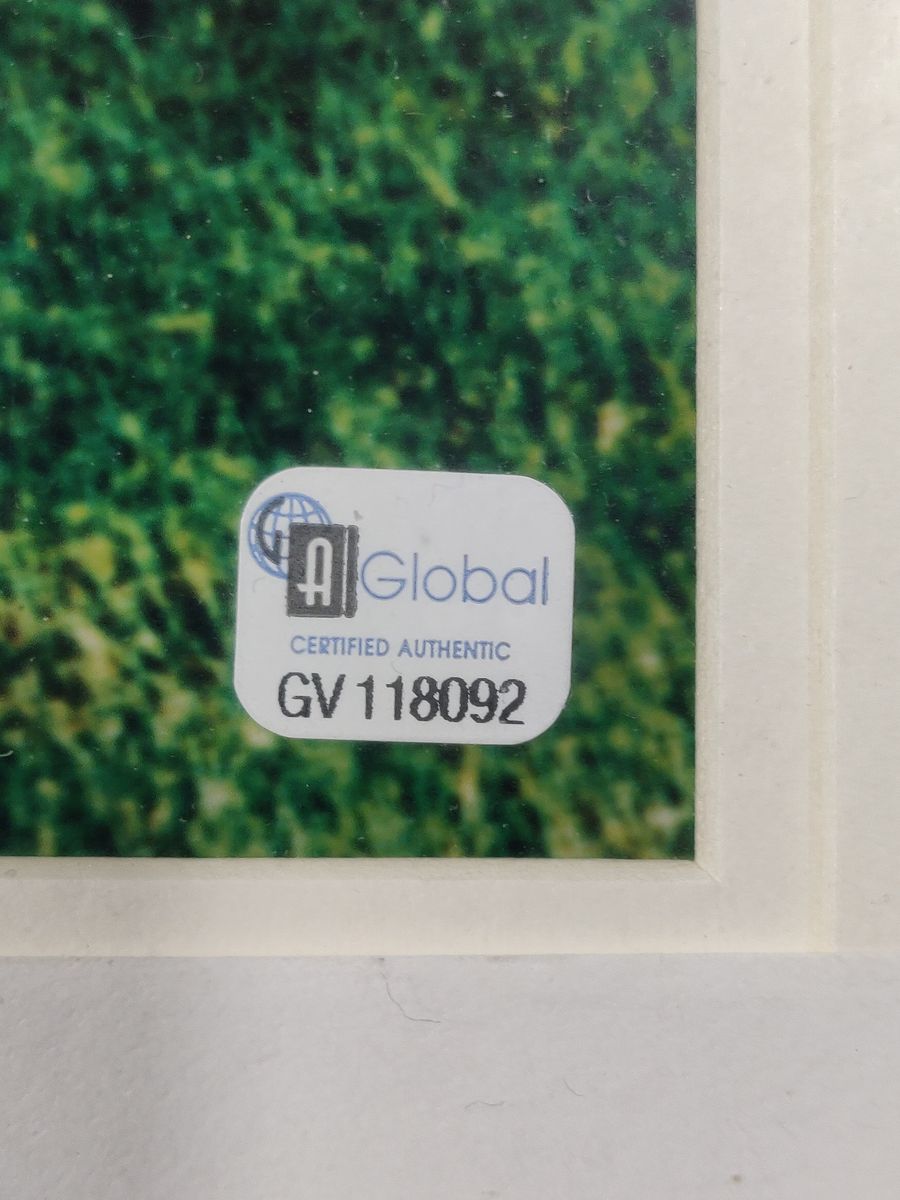 Hank Aaron Signed Framed 8x10 Photo with Bat Sliver Card #199/500