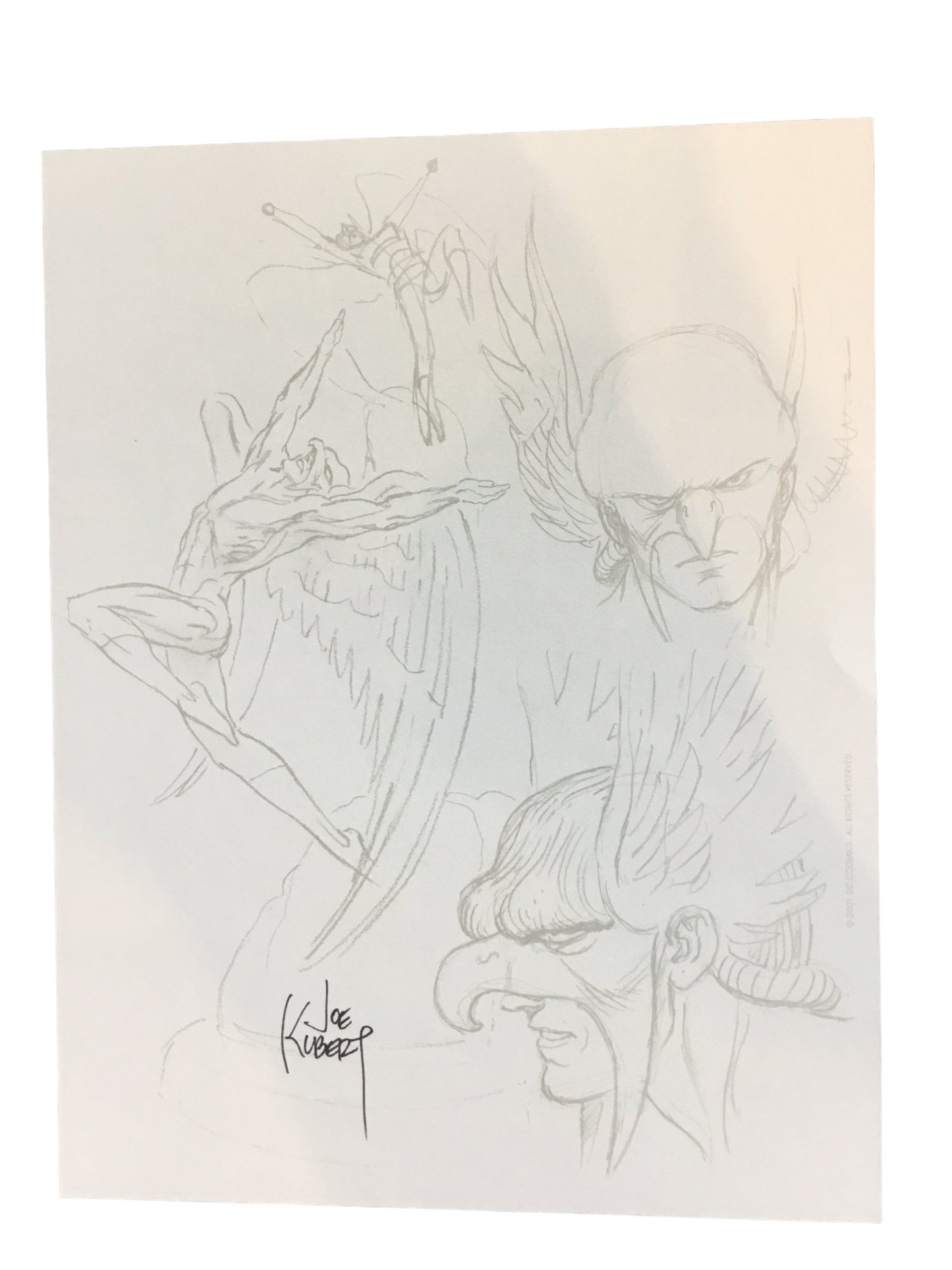 Hawkman Limited Edition Porcelain Statue - Joe Kubert signed print - DC Comics 2001