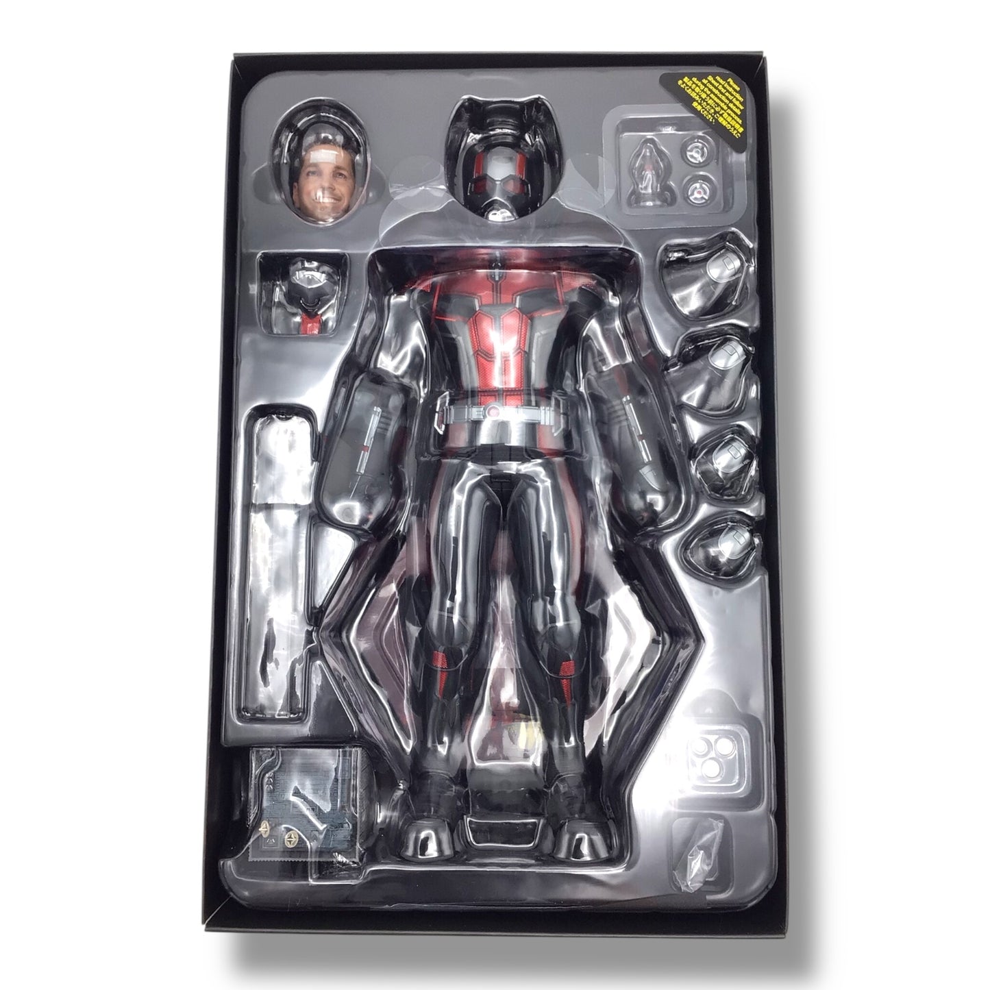 Hot Toys - Ant-Man 1/6th Figure (MMS497) | Ant-Man & The Wasp