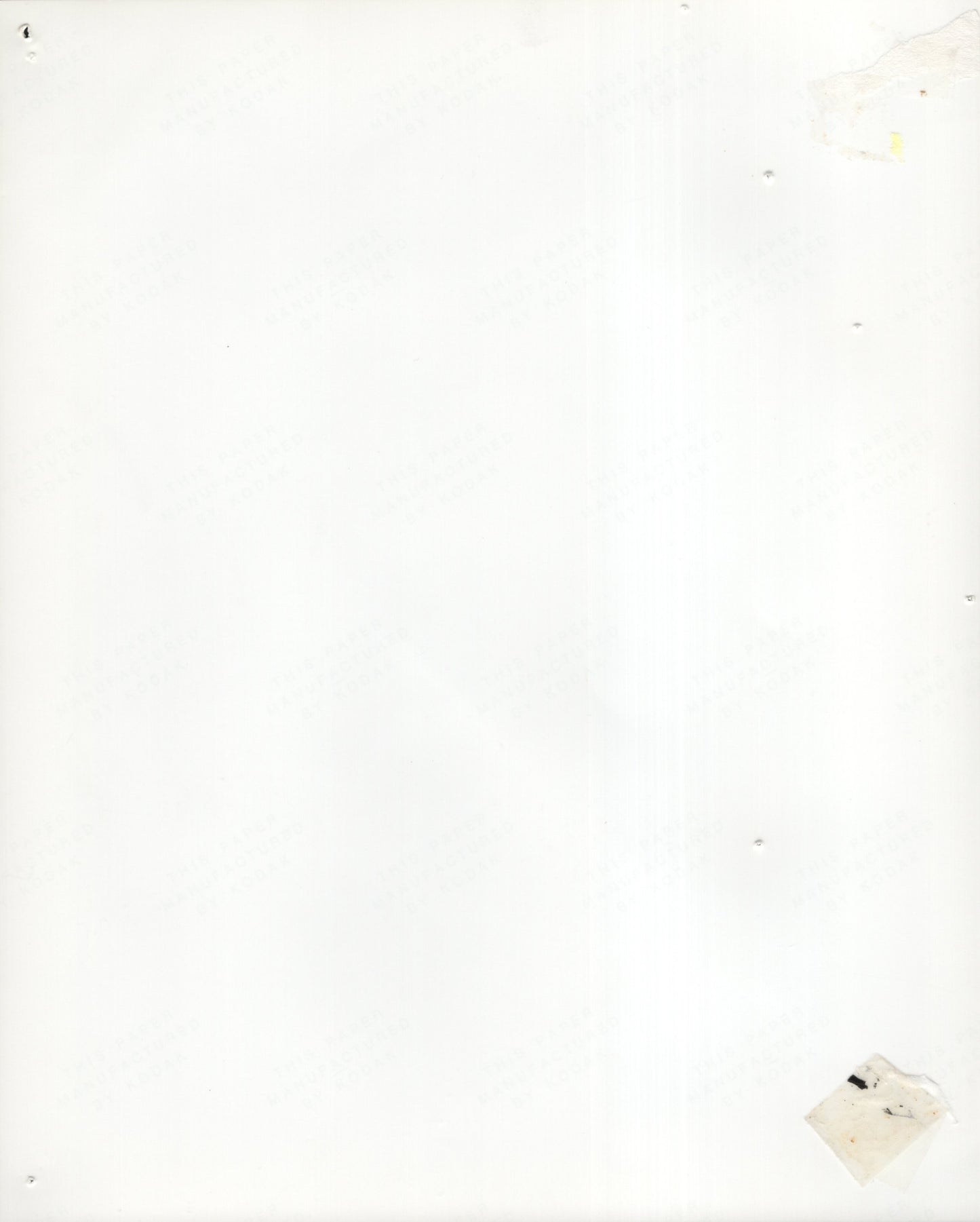 In Living Color Signed Photo 8x10 B&W, In Living Color Autographs from Entire Cast, Possibly Autopen or Facimile