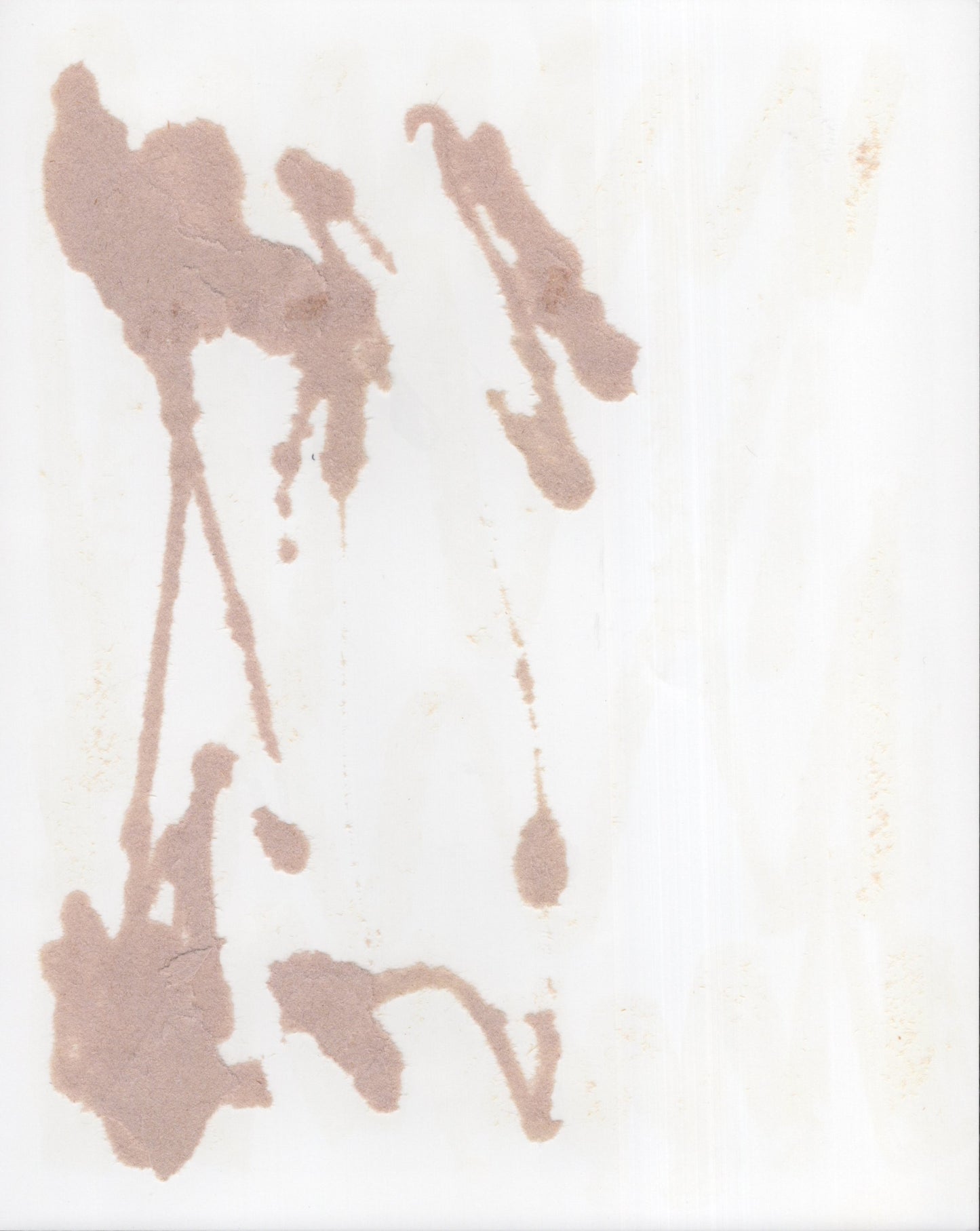 Janeane Garofalo Signed Photo 8x10 B&W Head Shot, Janeane Garofalo Autograph, Young Picture