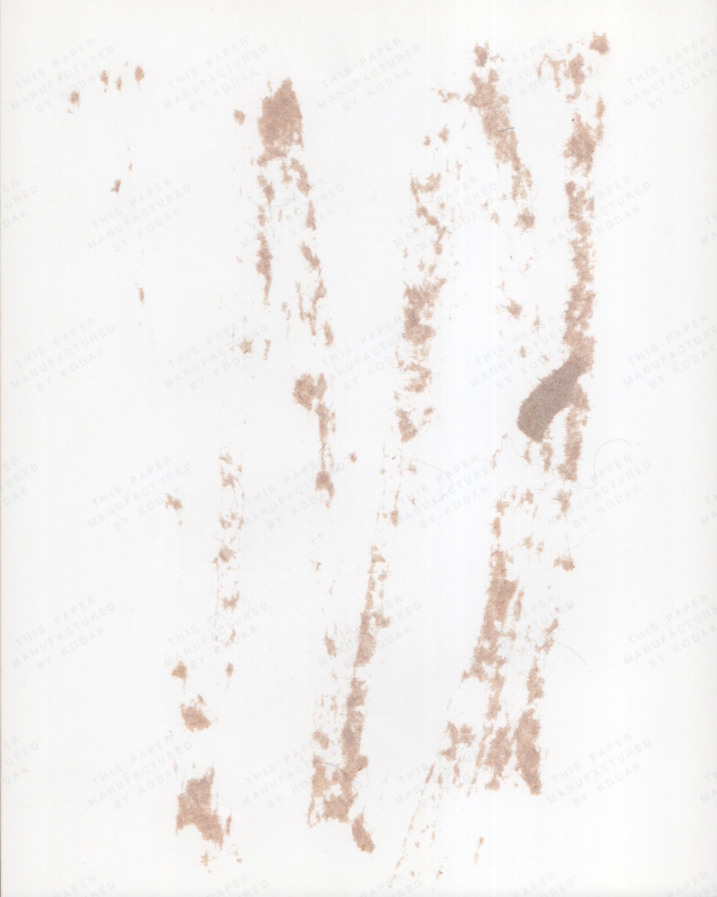 Jimmy Carter & Rosalyn Carter Signed Photo 8x10, Jimmy Carter Autograph & Rosalyn Carter Autograph