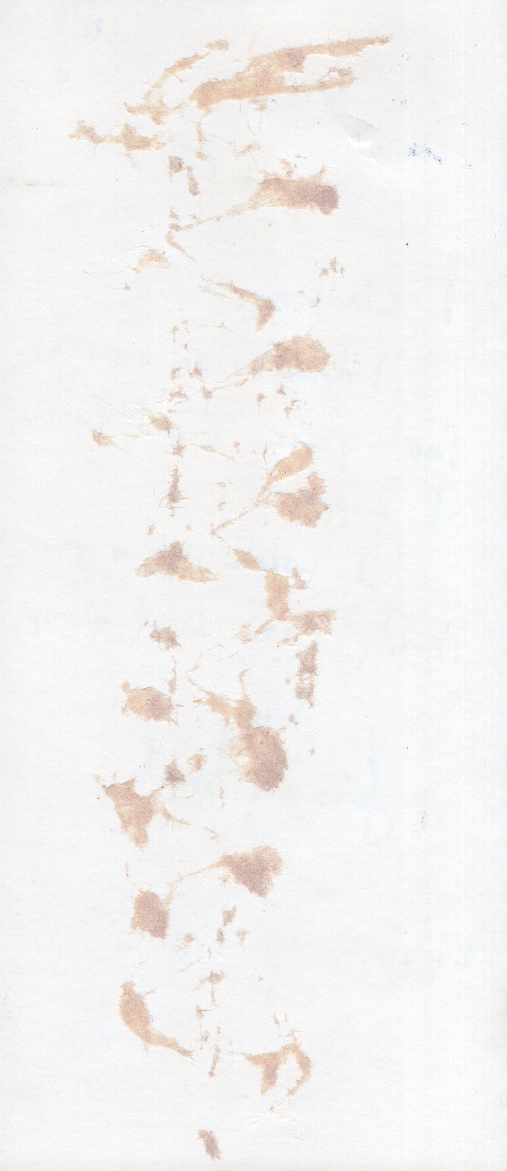 Jimmy Smits Signed NYPD Blue Jimmy Smits Stationary 3.5x8 Personalized "Deborah, thanks so much for your Kind words of support. I wish you & your family the Best always”, Jimmy Smits Autograph from NYPD Blue