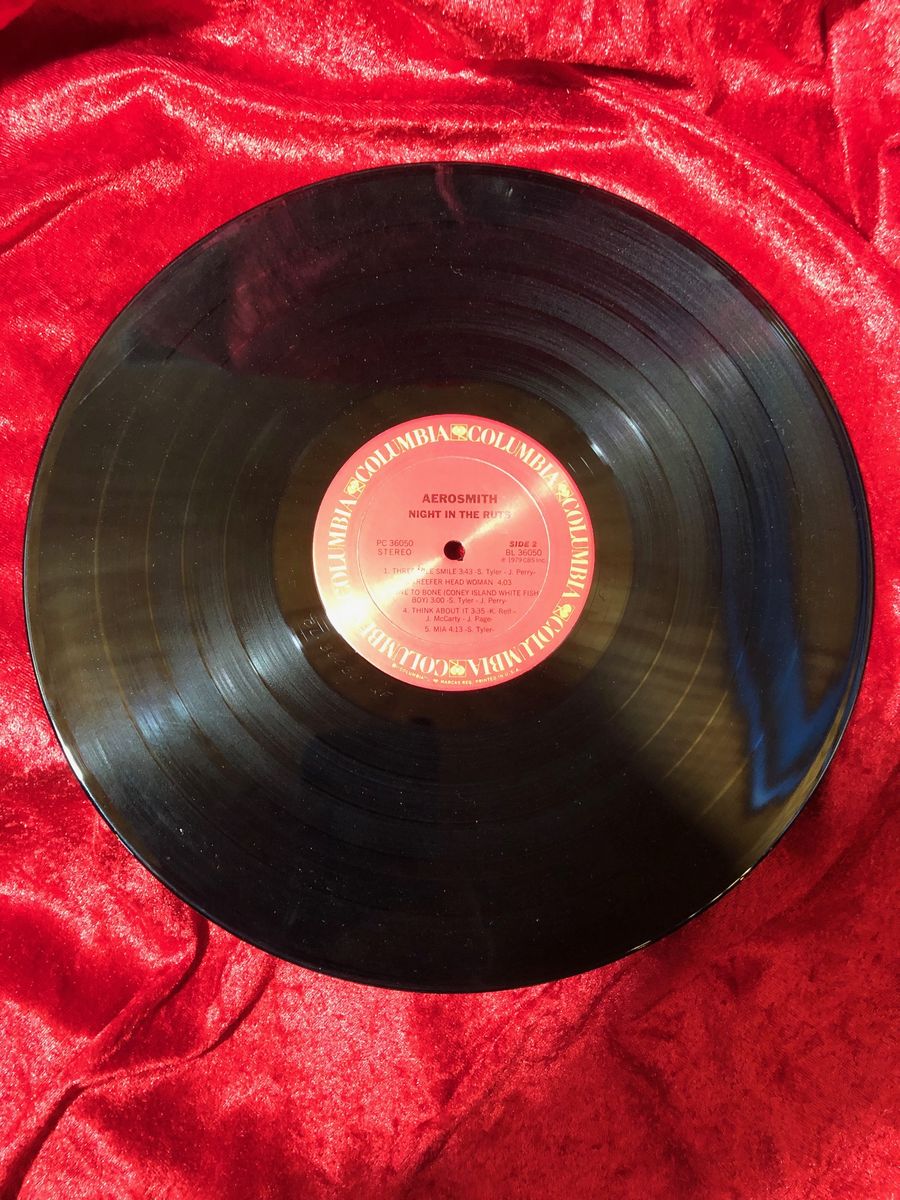 Joe Perry Autographed copy of Aerosmith- Night in the Ruts w/ JSA Certification