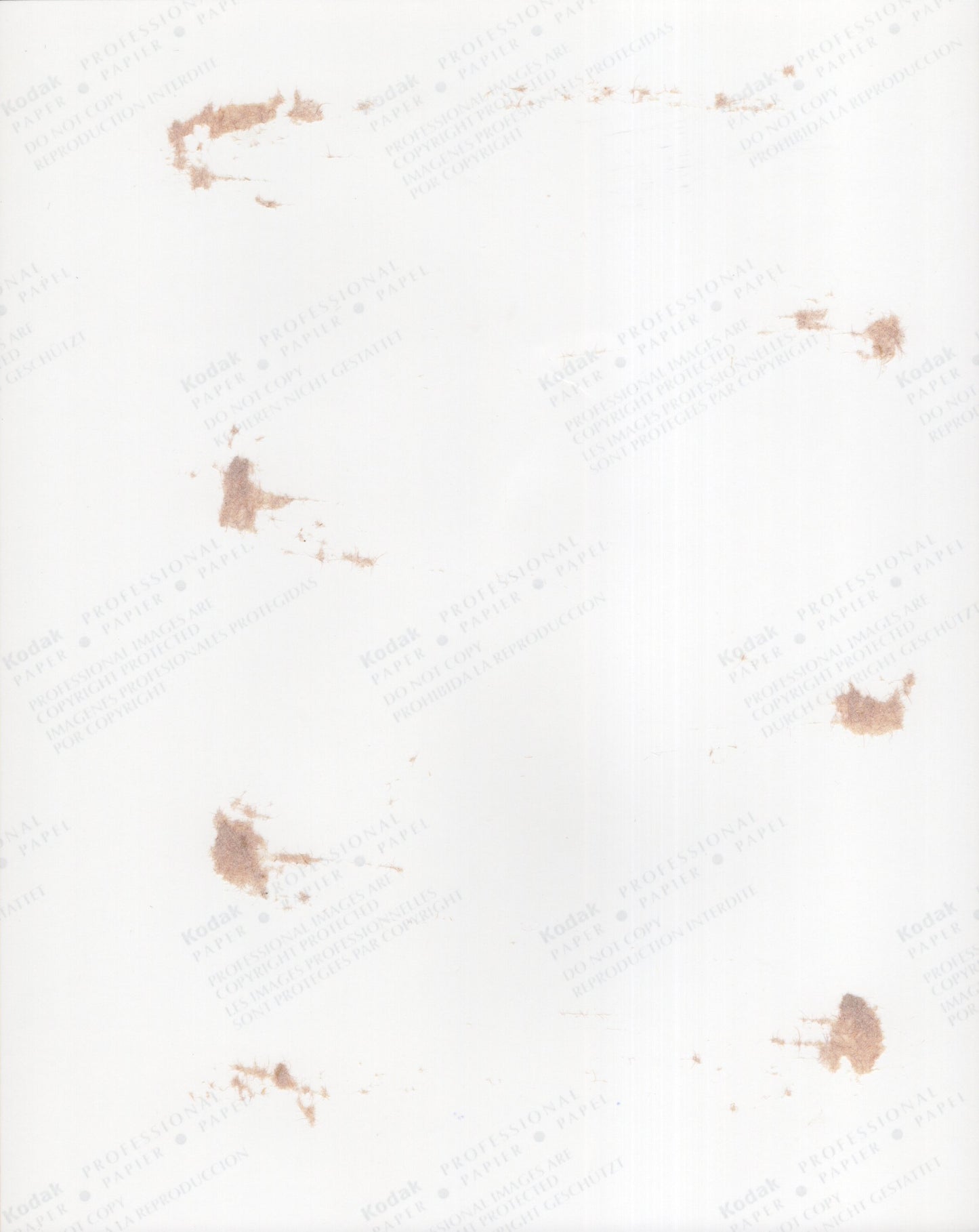 John McCain Signed Photo 8x10, Senator John McCain Autograph