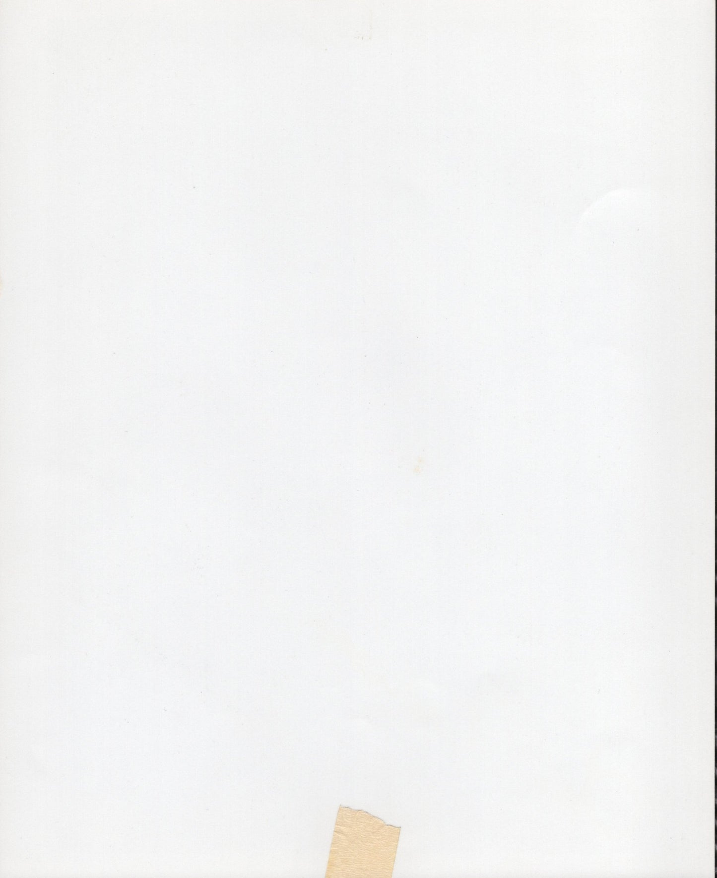 Loni Anderson Signed B&W Photo 8x10 – JSA Authenticated QQ28738
