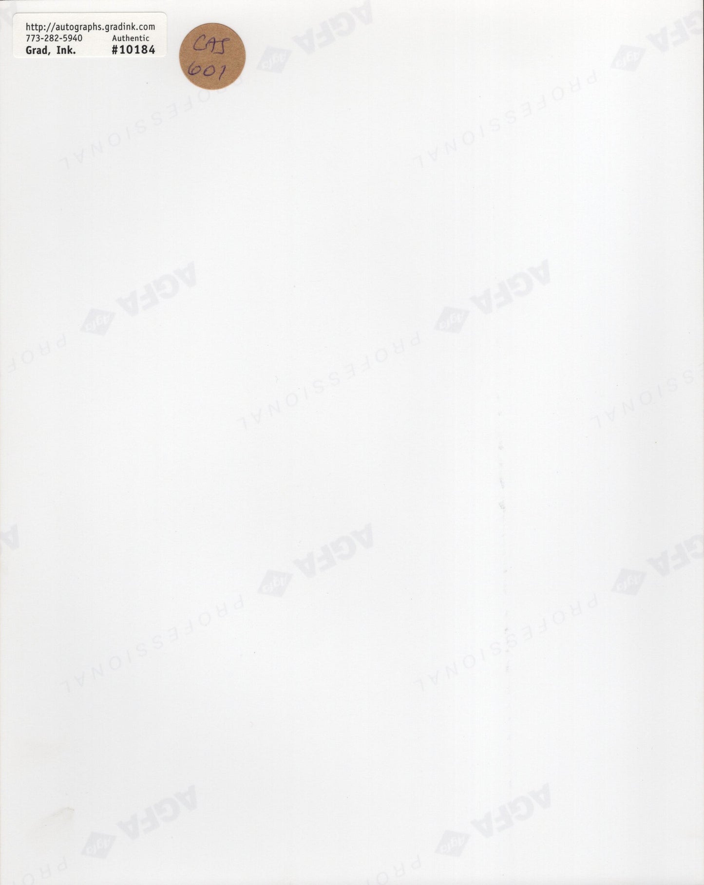 Lou Diamond Phillips Signed 8x10 Photo in La Bamba PSA JSA Letter Verified