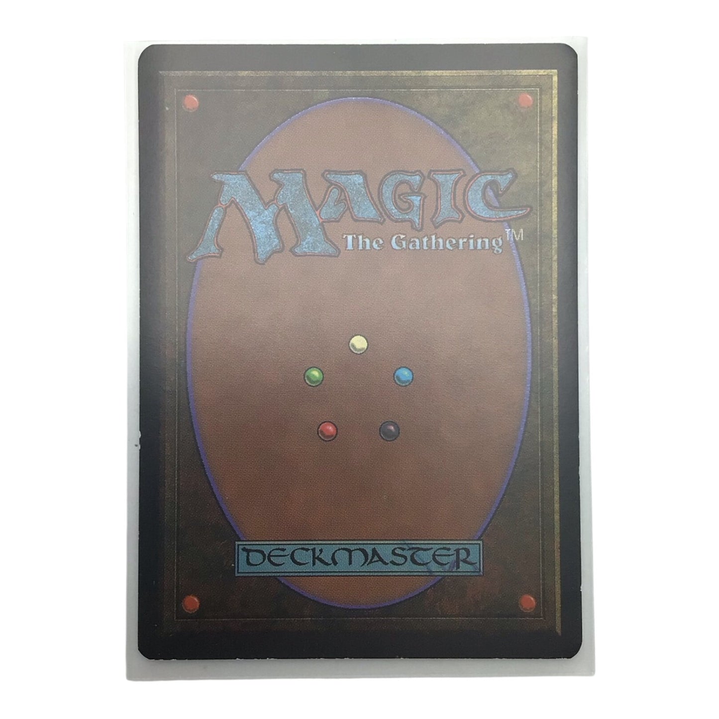 MTG Taiga Revised Edition - Lightly Played