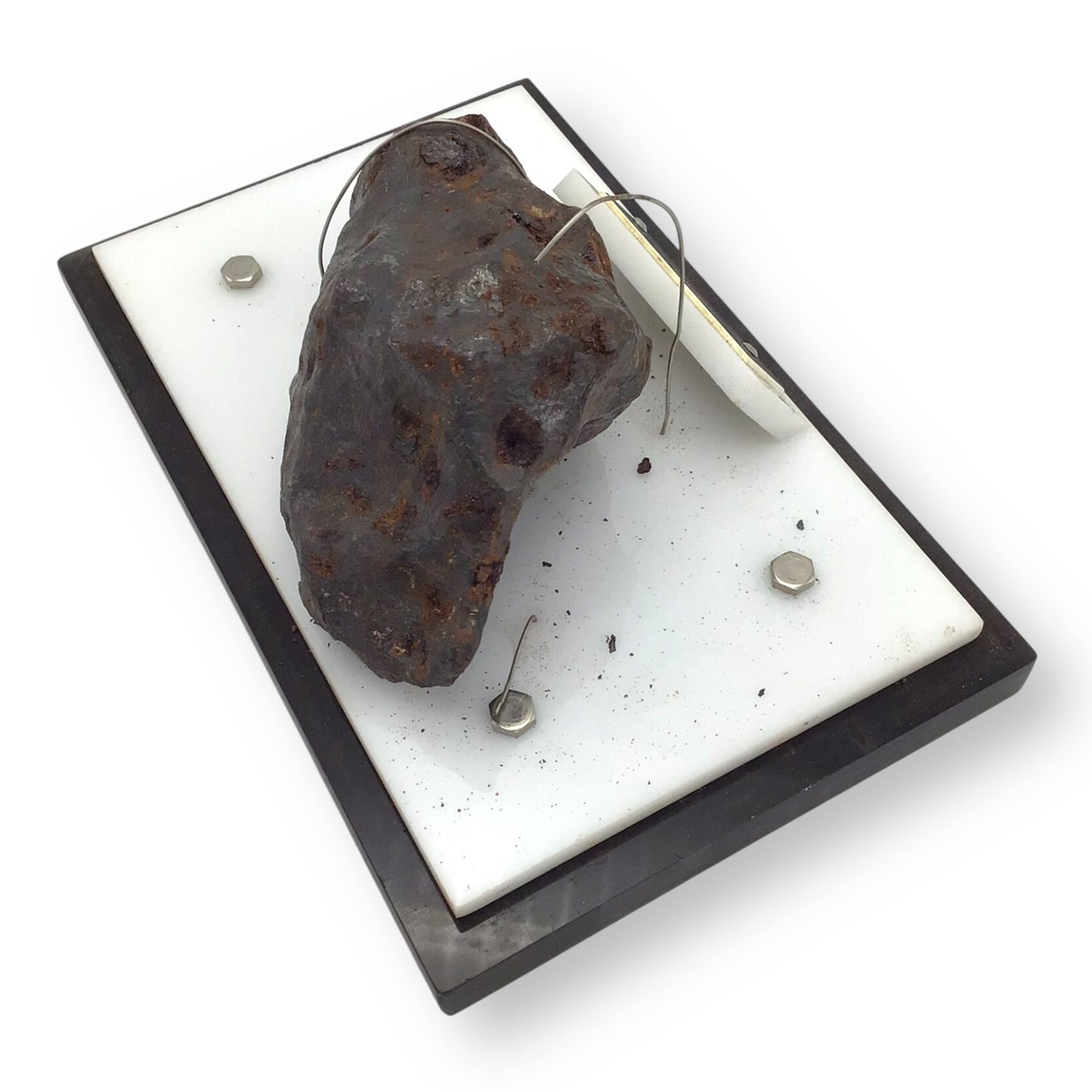 Meteorite, Canyon Diablo, Arizona, 1356G, John A. Lednicky Estate