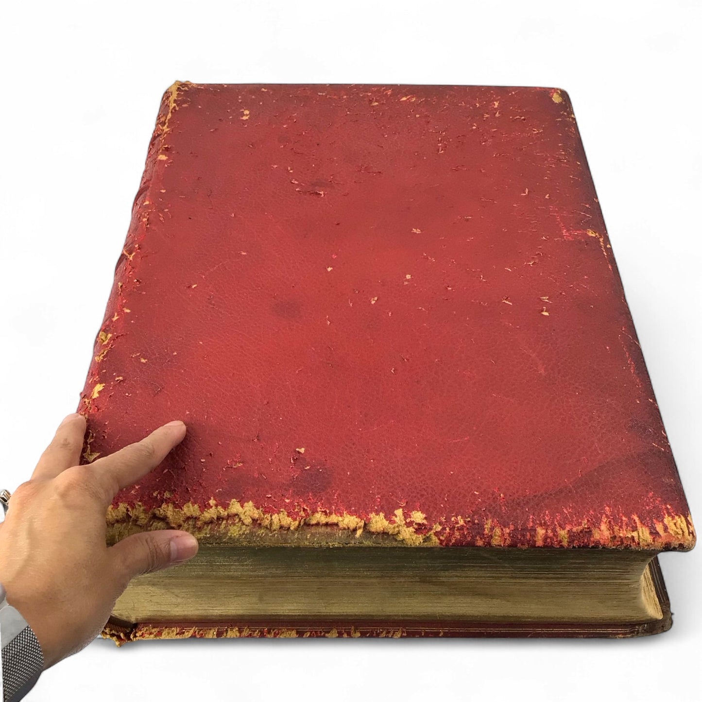 Monumental 1935 King James Oxford Lectern Bible Bruce Rogers Red Goatskin