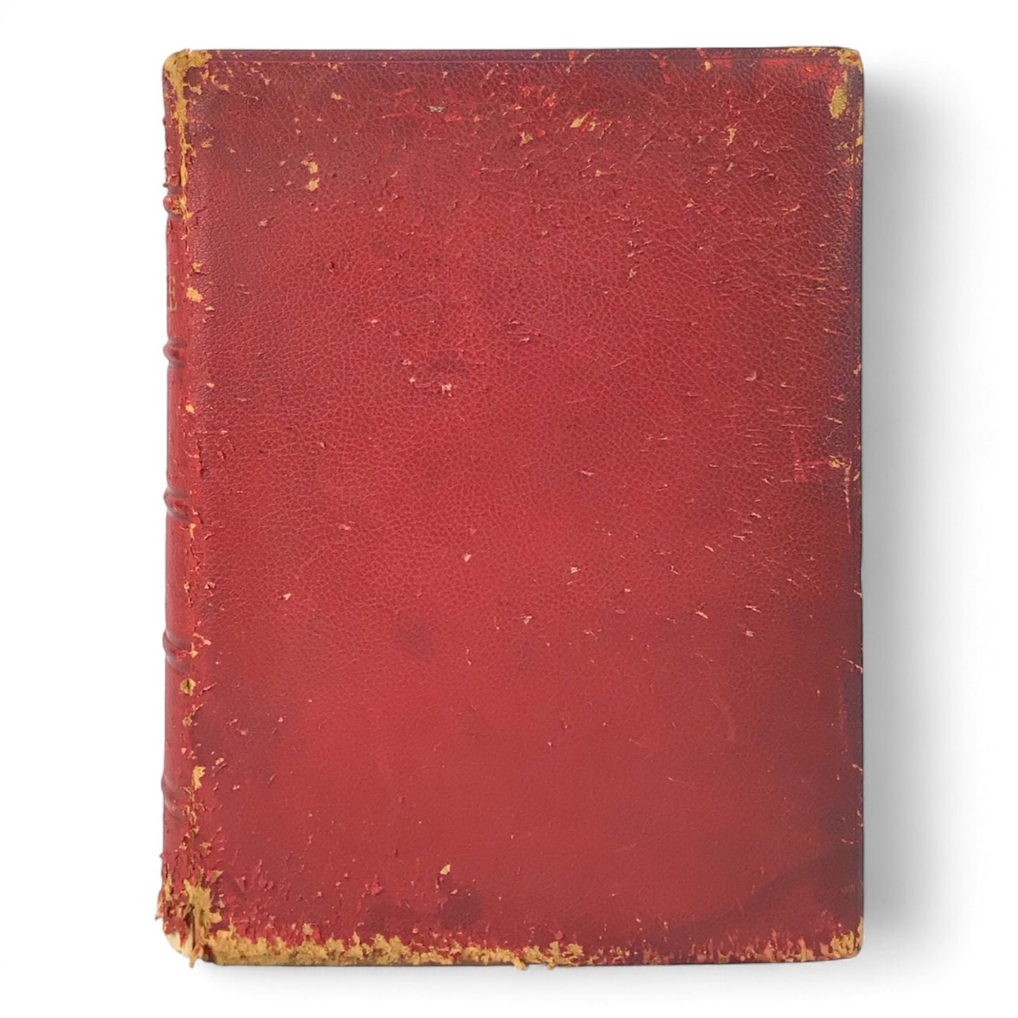 Monumental 1935 King James Oxford Lectern Bible Bruce Rogers Red Goatskin