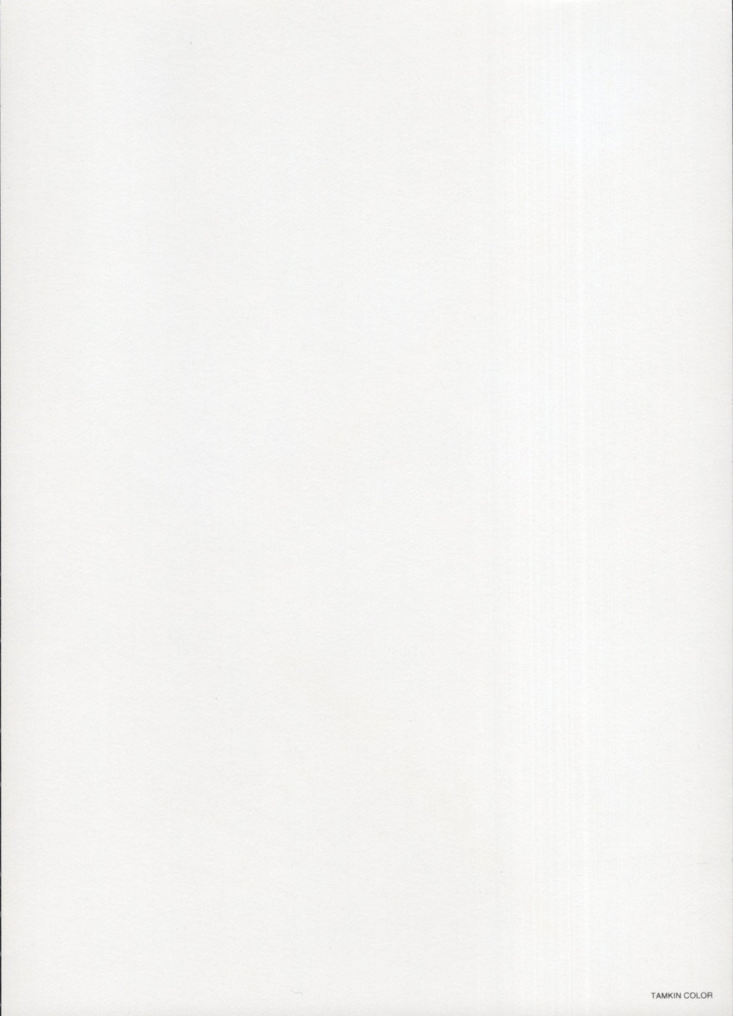 Nicolas Cage Signed Photo 5x7, Nicolas Cage Autograph with Trees