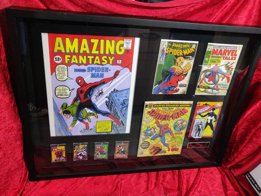 Ode to Spiderman Shadowbox Stan Lee & Jim Shooter Autographs JSA Certified