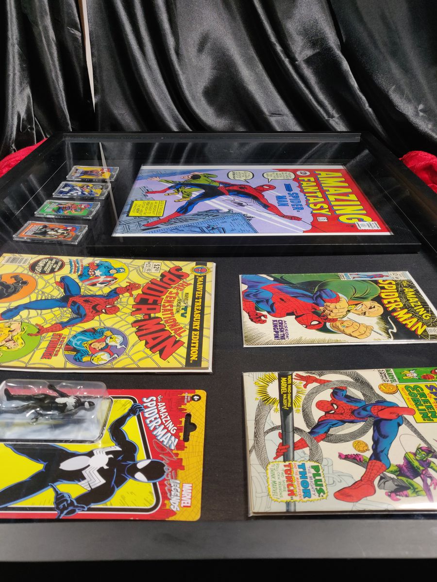 Ode to Spiderman Shadowbox Stan Lee & Jim Shooter Autographs JSA Certified