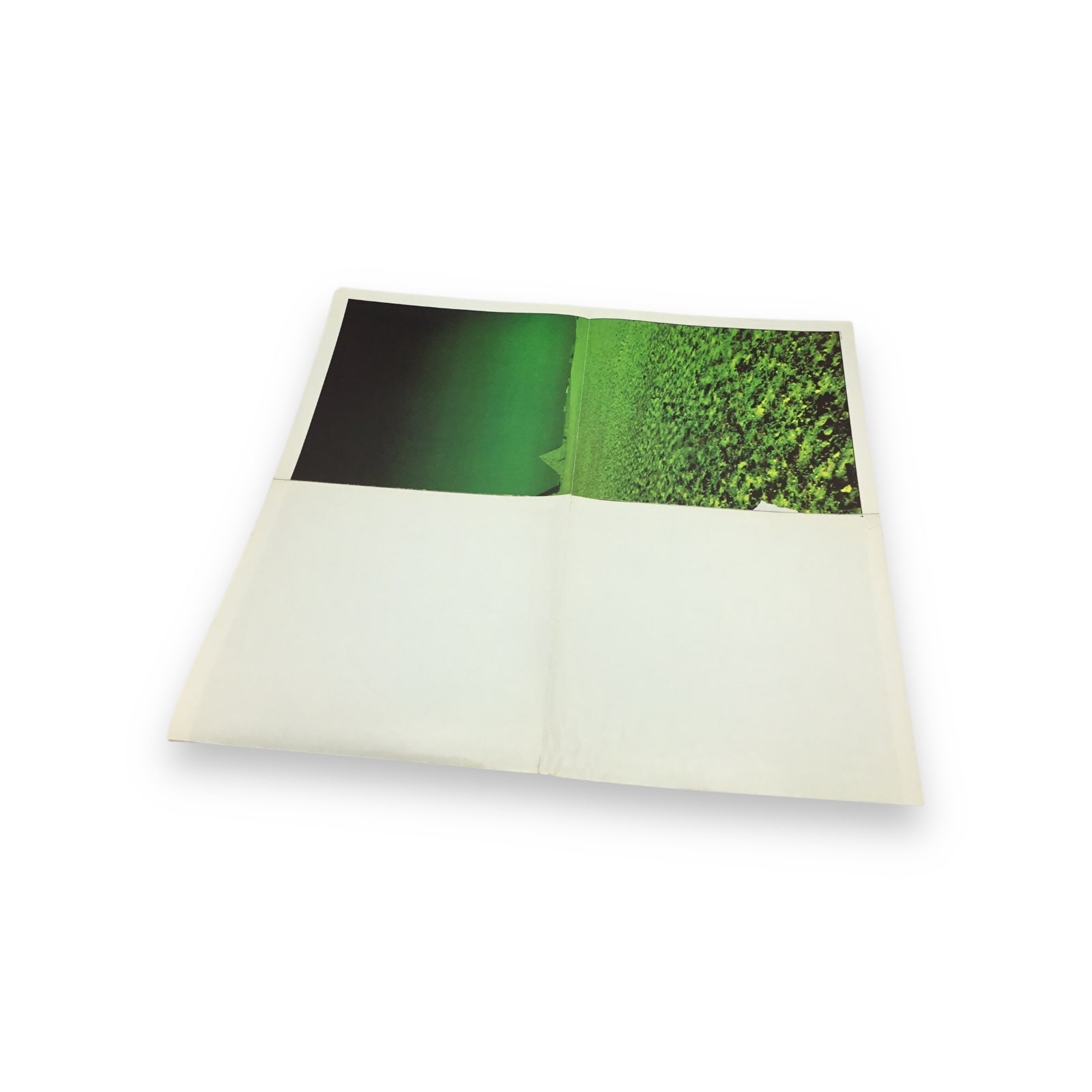 Pink Floyd - Dark Side of the Moon | Prog Rock LP