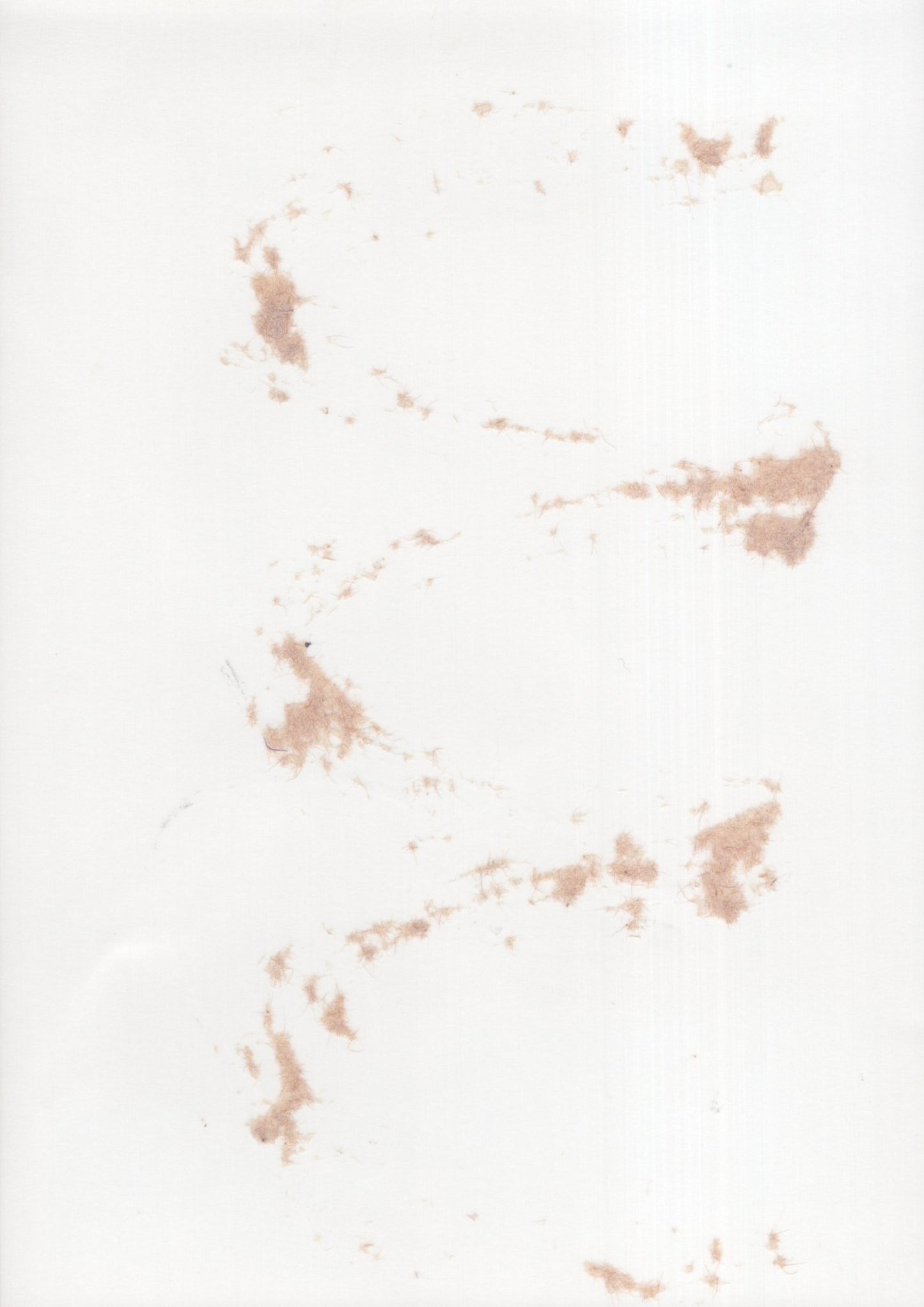 Rebecca De Mornay Signed Photo 5x7 B&W, Rebecca De Mornay Autograph, Early Photo