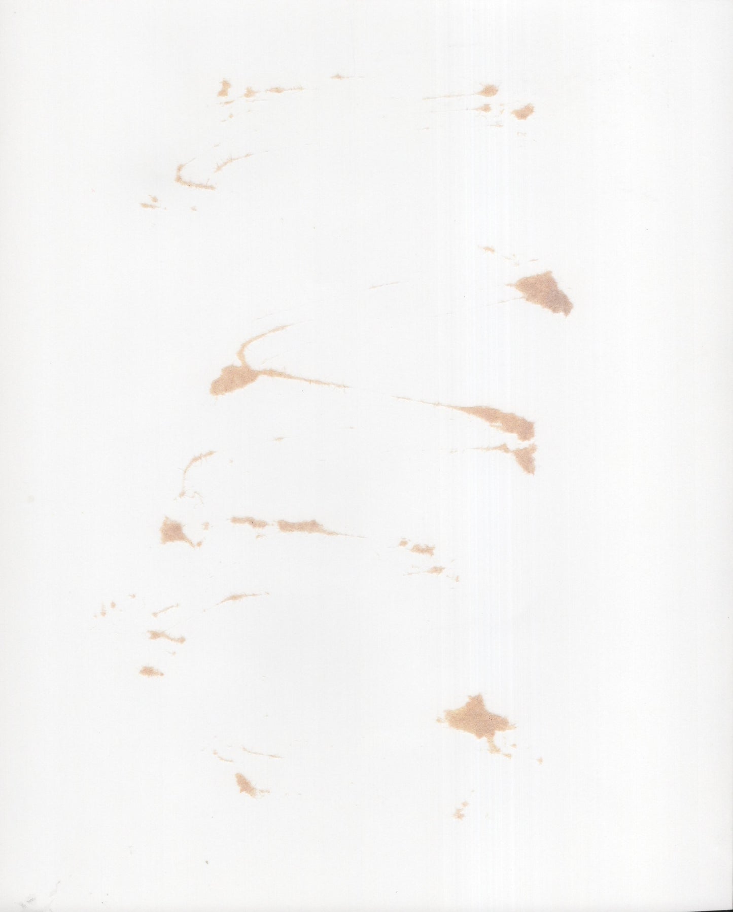 Richard Grieco Signed Photo 8x10 Personalized "Ride Free", Richard Grieco Autograph on B&W Headshot from 21 Jump Street