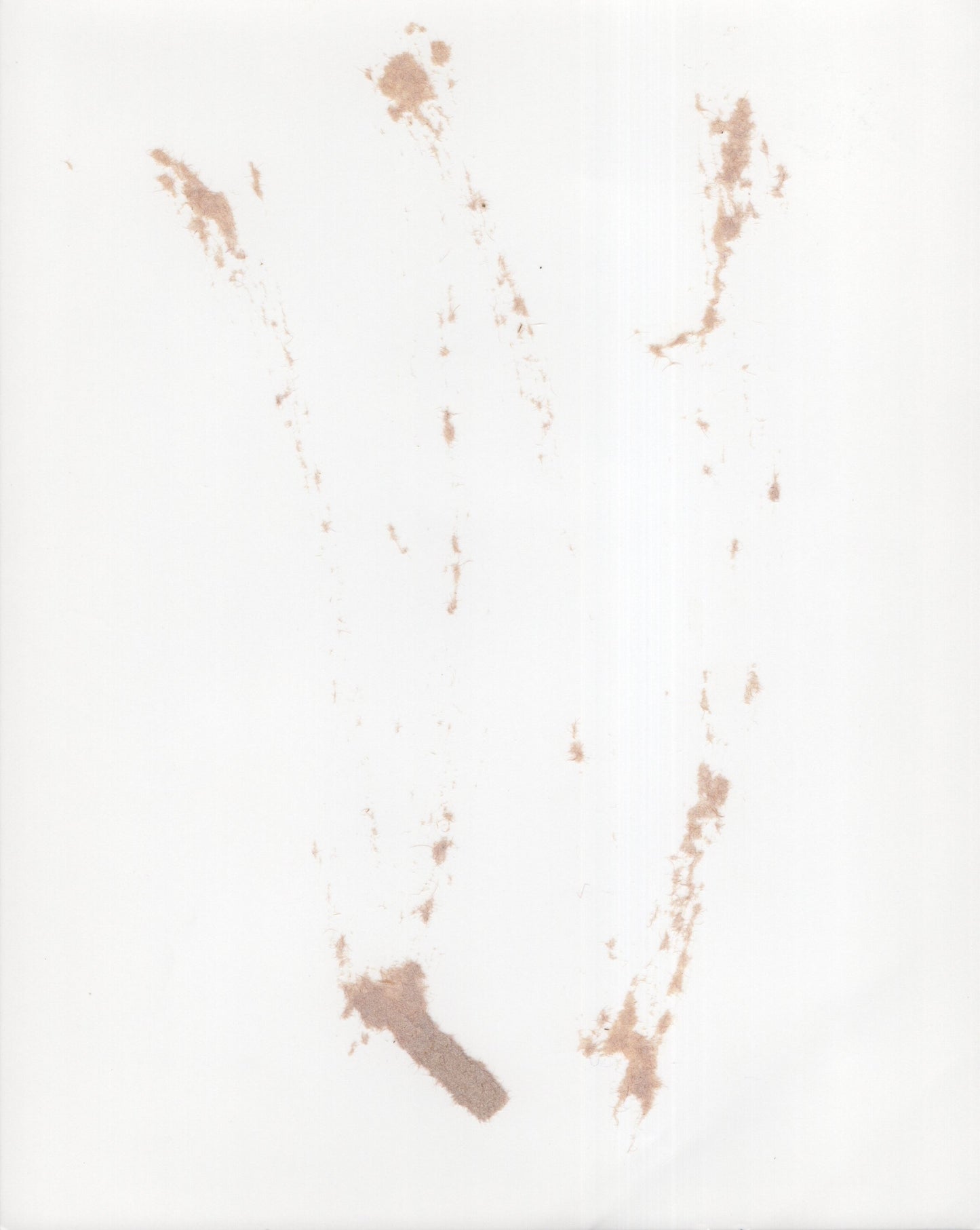 Rita Moreno Signed Photo 8x10 Personalized "For Gene & Debora - Best Always", Rita Moreno Autograph on B&W Photo