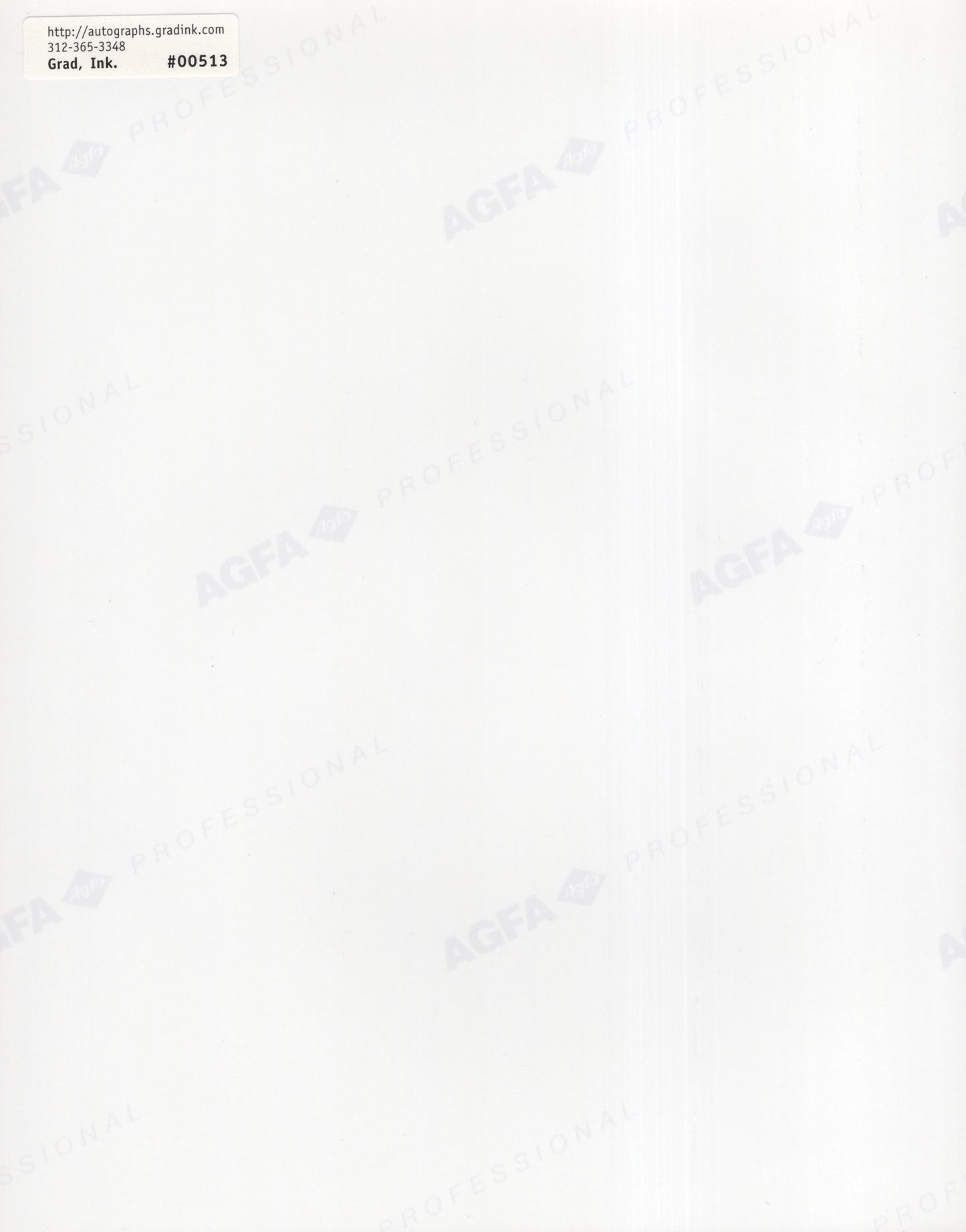 Sally Struthers Signed Photo 8x10, Sally Struthers Autograph in Black and White Dress, PSA Letter Certified Authentic