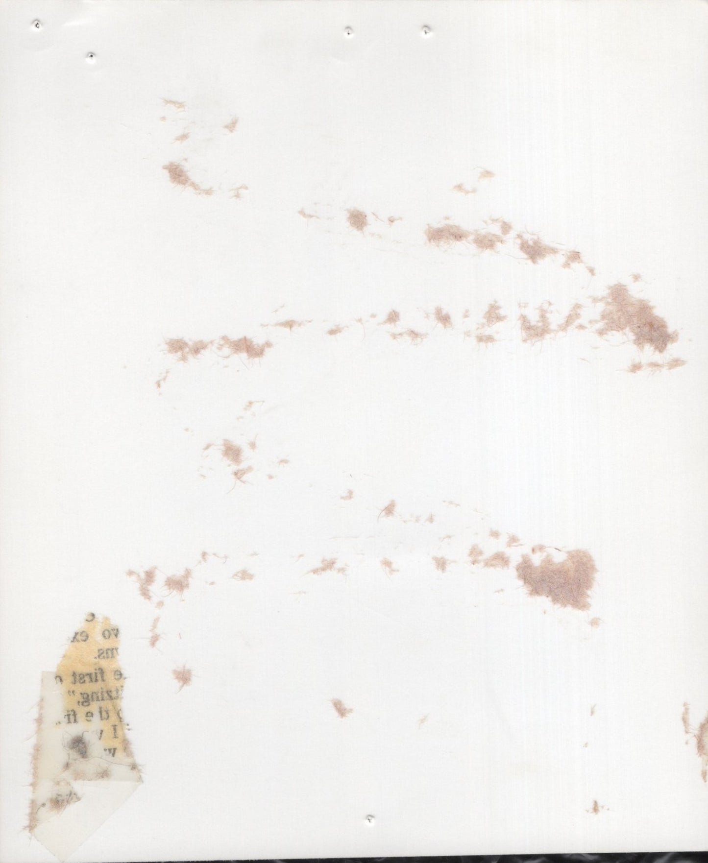 Sonny Bono Signed Photo 5x6 B&W Personalized "Keep Rockin", Sonny Bono Autograph