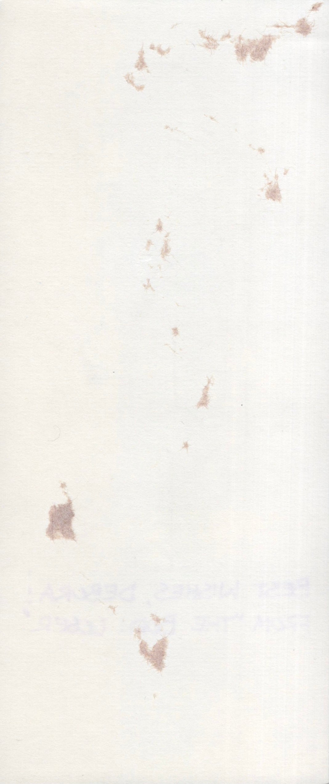 The Born Loser Chip Sansom Signed Original Drawing 3.5x8.5 Personalized "Best Wishes, Debora!", Chip Sansom Autograph