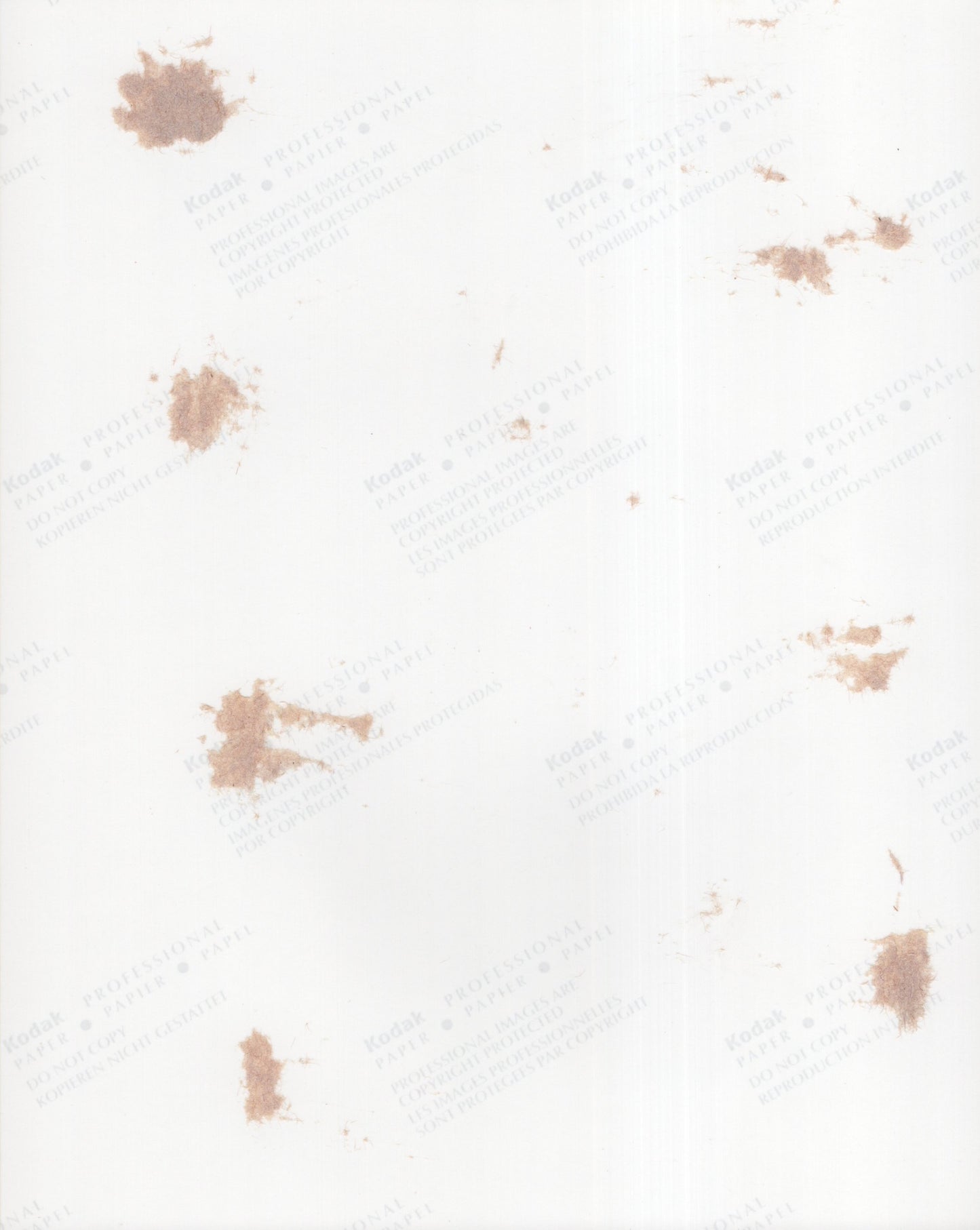 Tom Harkin Signed Photo 8x10 Personalized "To Debora: Best Wishes!", Senator Tom Harkin Autograph