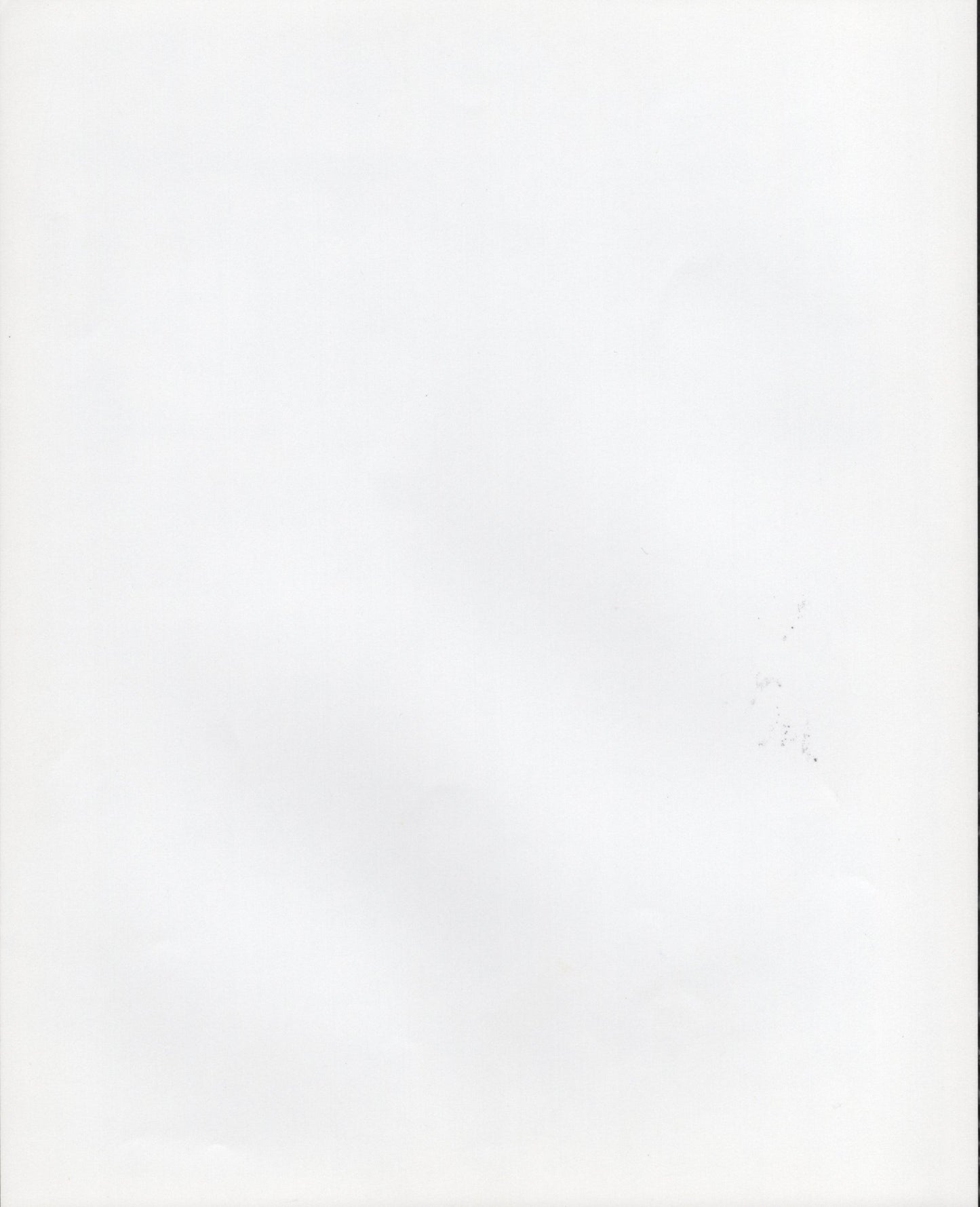 Woody Allen Signed Photo 8x10 – Broadway Danny Rose, Secretarial Signature