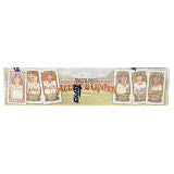 2024 Topps Allen & Ginter Baseball Hobby Box