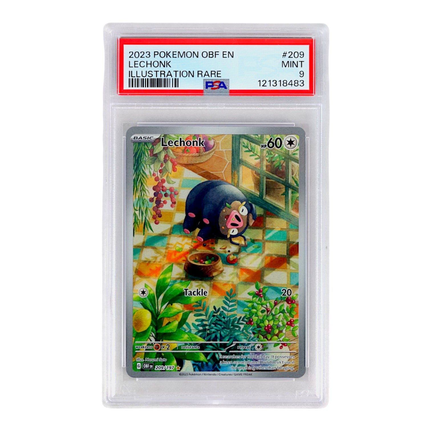 2023 Lechonk #209 PSA 9