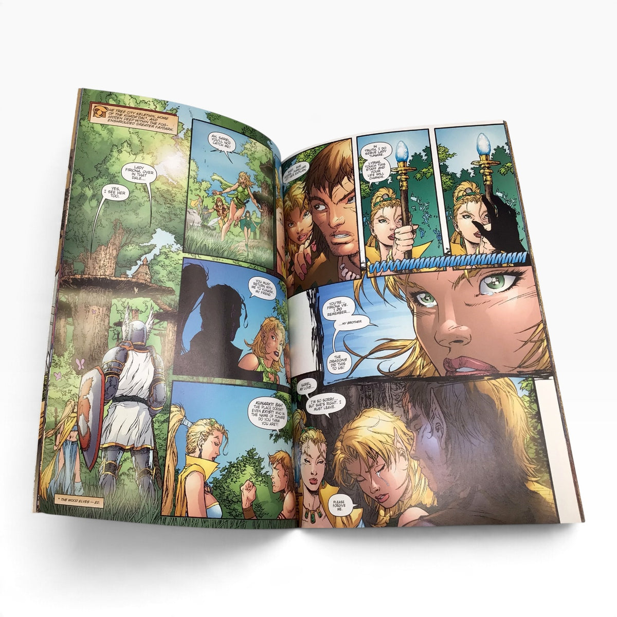 EverQuest The Ruins of Kunark Graphic Novel - 2002 - NM
