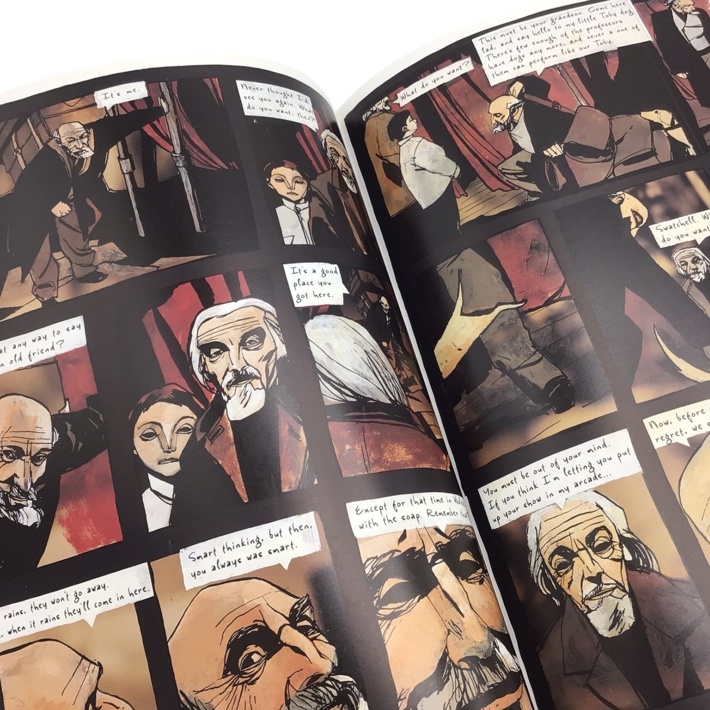 The Tragical Comedy or Comical Tragedy of Mr. Punch Hardcover – DC Comics / Vertigo