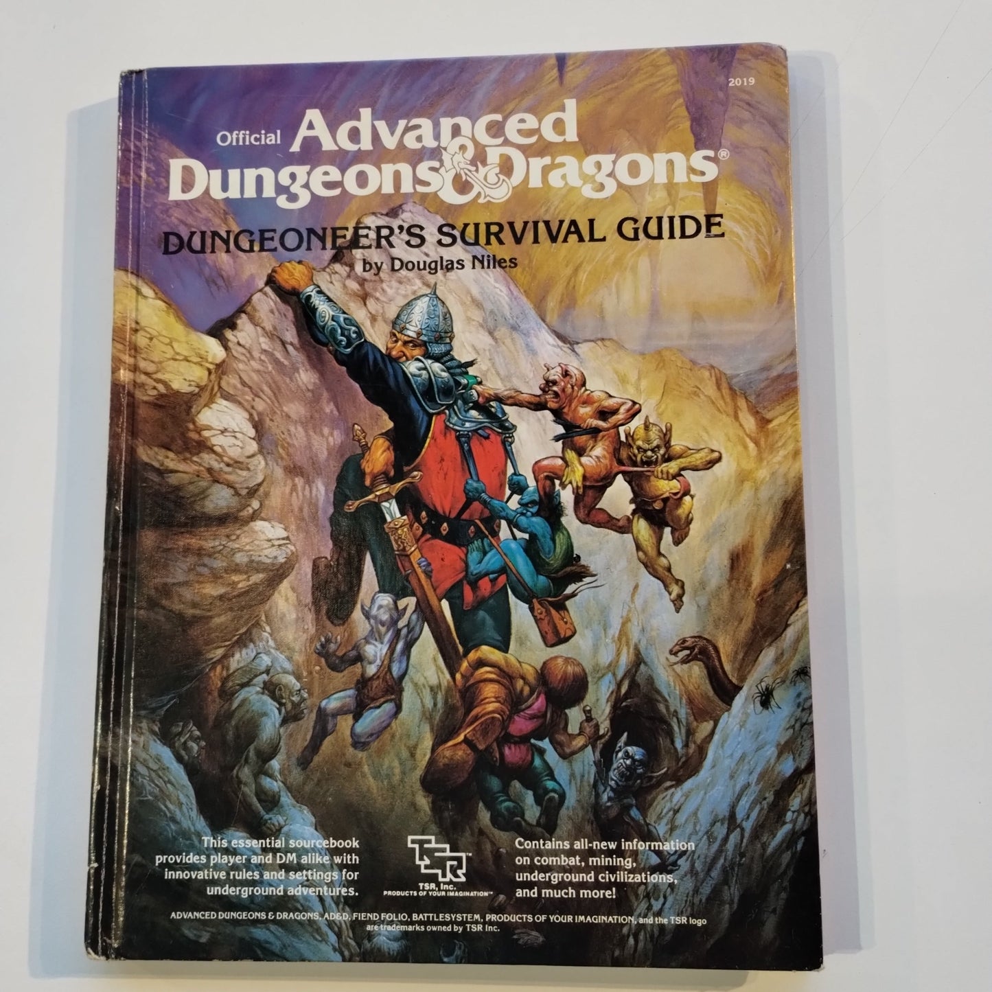 Advanced Dungeons & Dragons Dungeoneer's Survival Guide 1986 TSR Hard Cover #2019