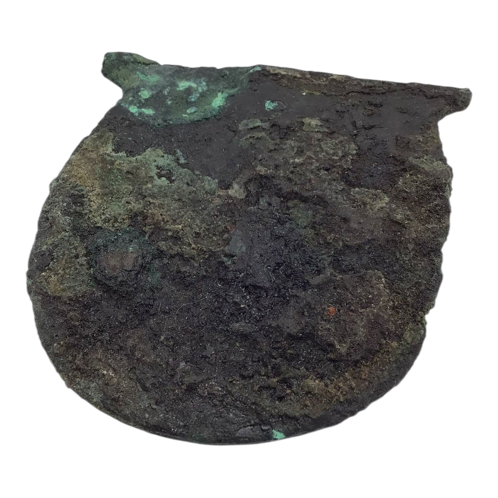 Ancient Egyptian Old Kingdom Copper Tools Group | William Ashby Collection