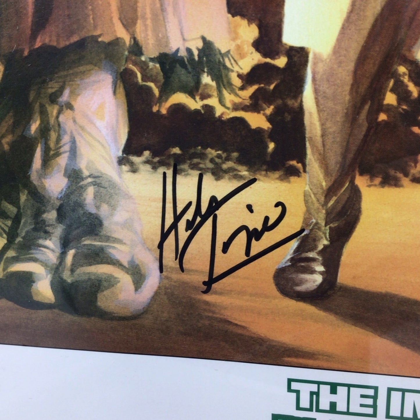 Framed The Incredible Hulk Poster Signed by Herb Trimpe - Limited Edition 376/399