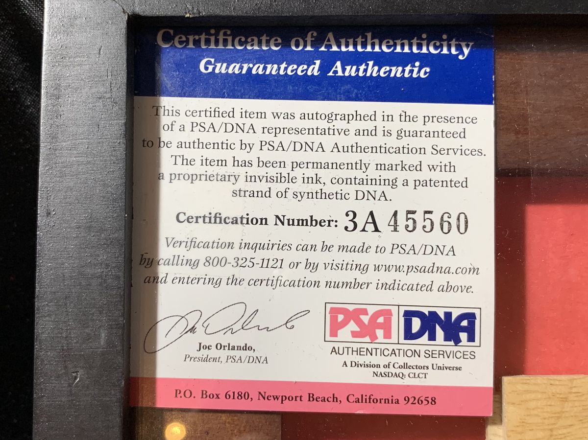 Bill Walton Signed Court Flooring Boston Celtics HOF 1993 PSA/DNA Framed