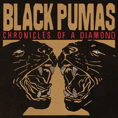 Black Pumas - Chronicles of a Diamond | Cloudy Red Vinyl LP Album