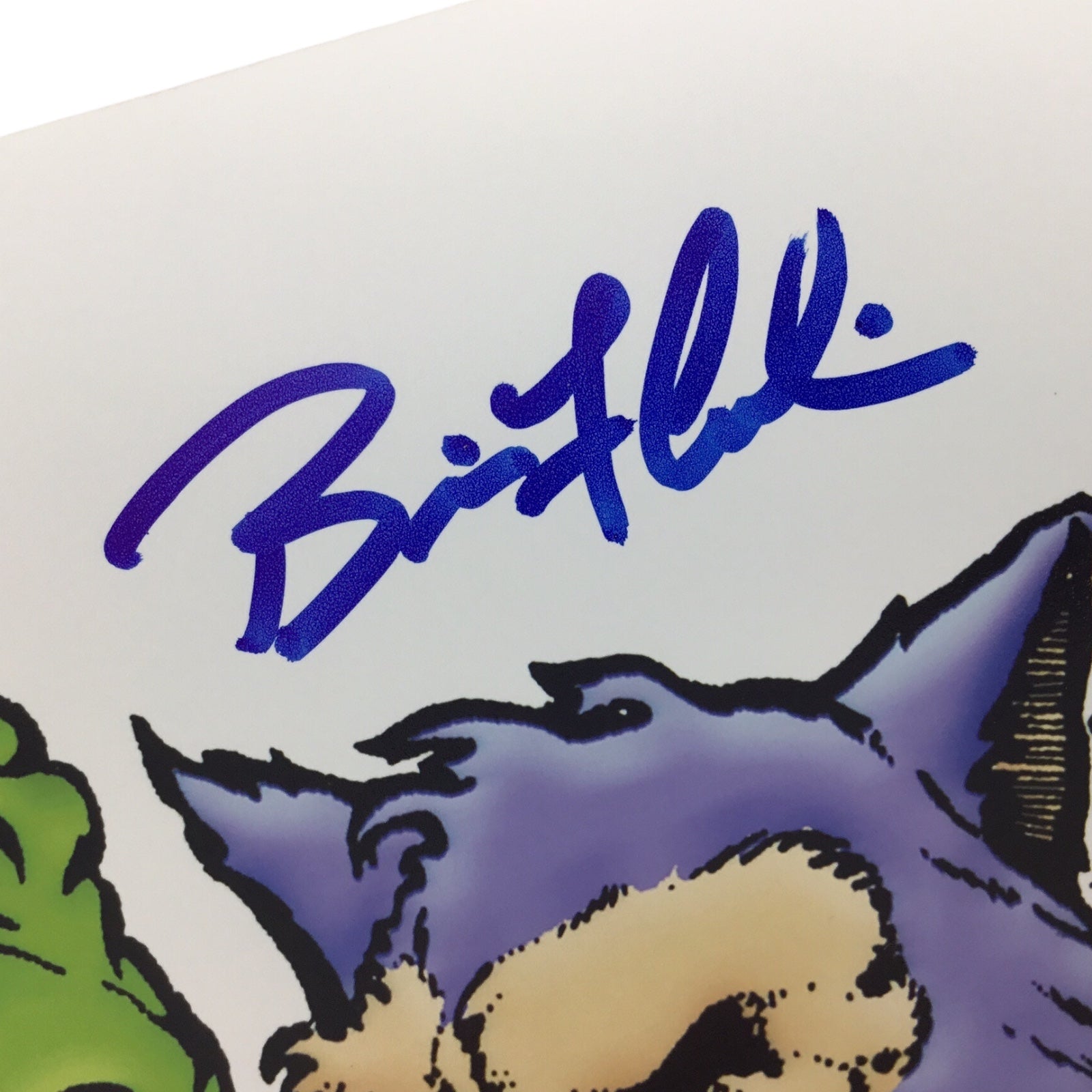 Brian Colin Signed 8x10 Rampage Video Game Designer Photo (Beckett Certified)