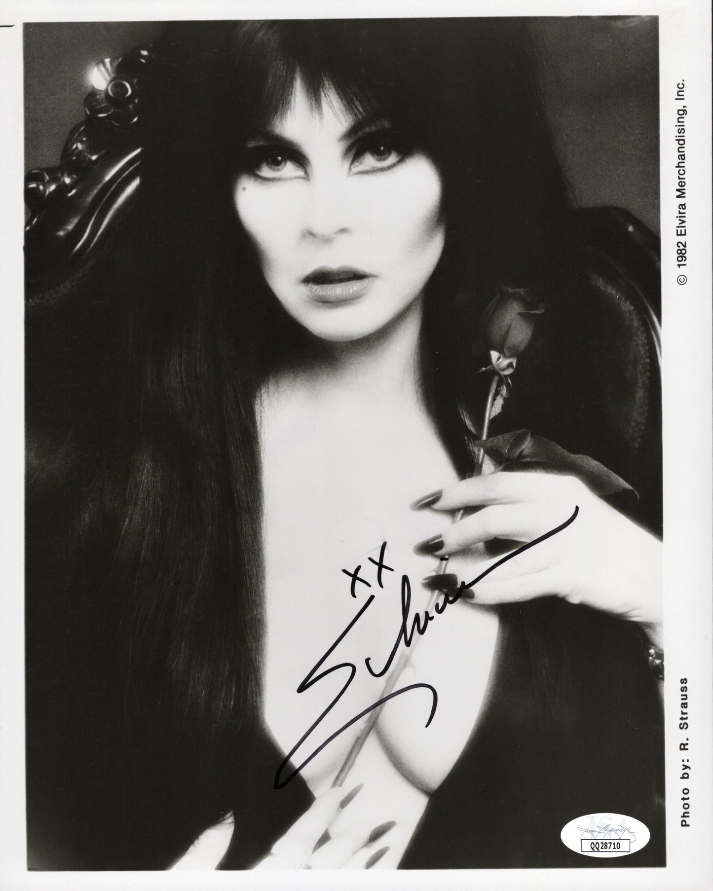 Cassandra Peterson as Elvira Early Signed Photo B&W 8x10, JSA Certified Authentic QQ28710