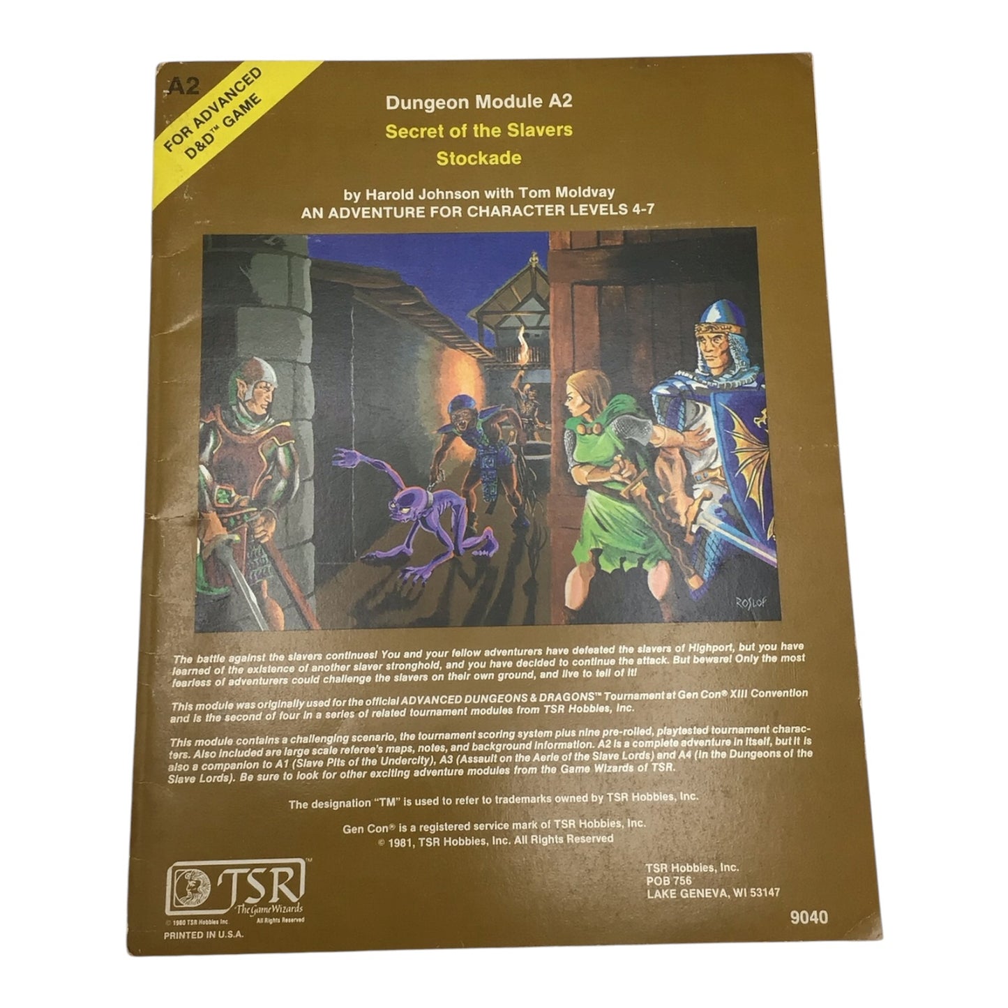 Advanced Dungeons & Dragons Secret of the Slavers Stockade A2 #9040 (1981)